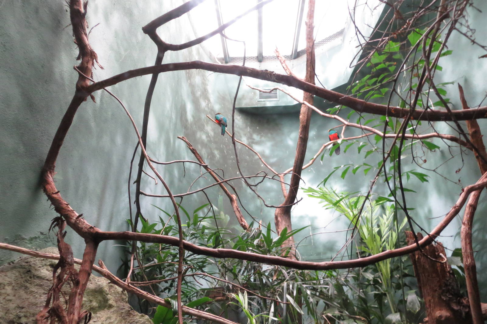 World of Birds 031215