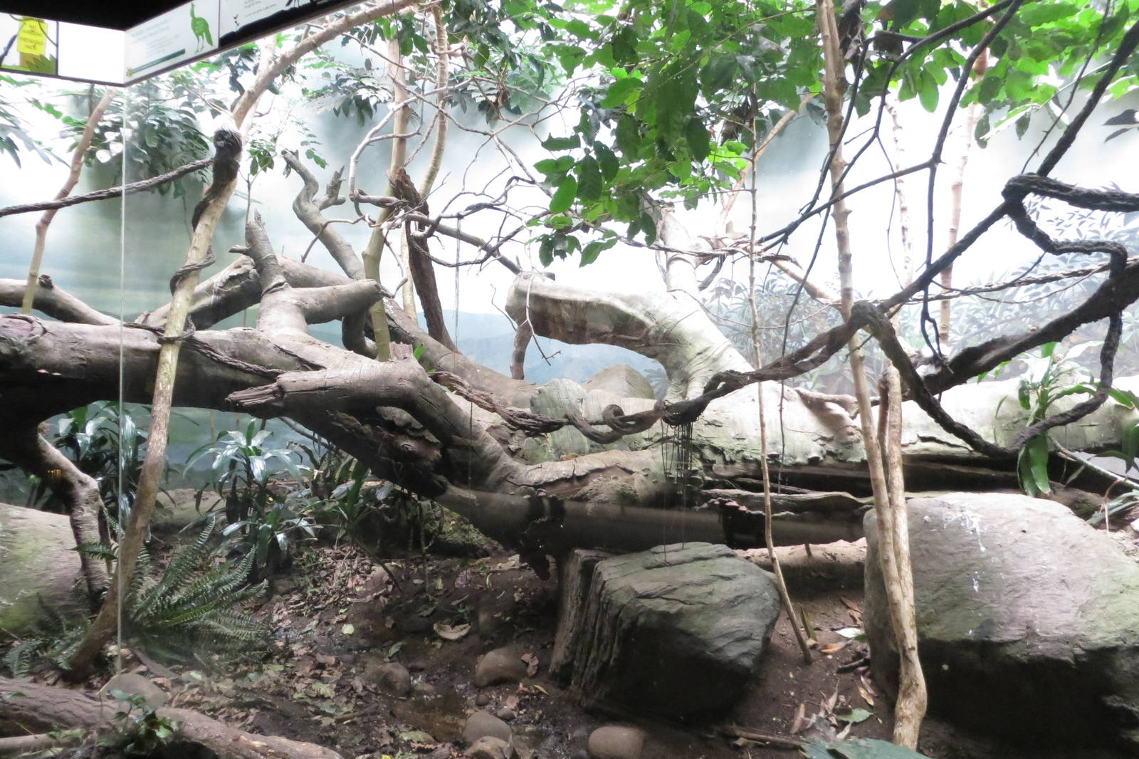 World of Birds 031215