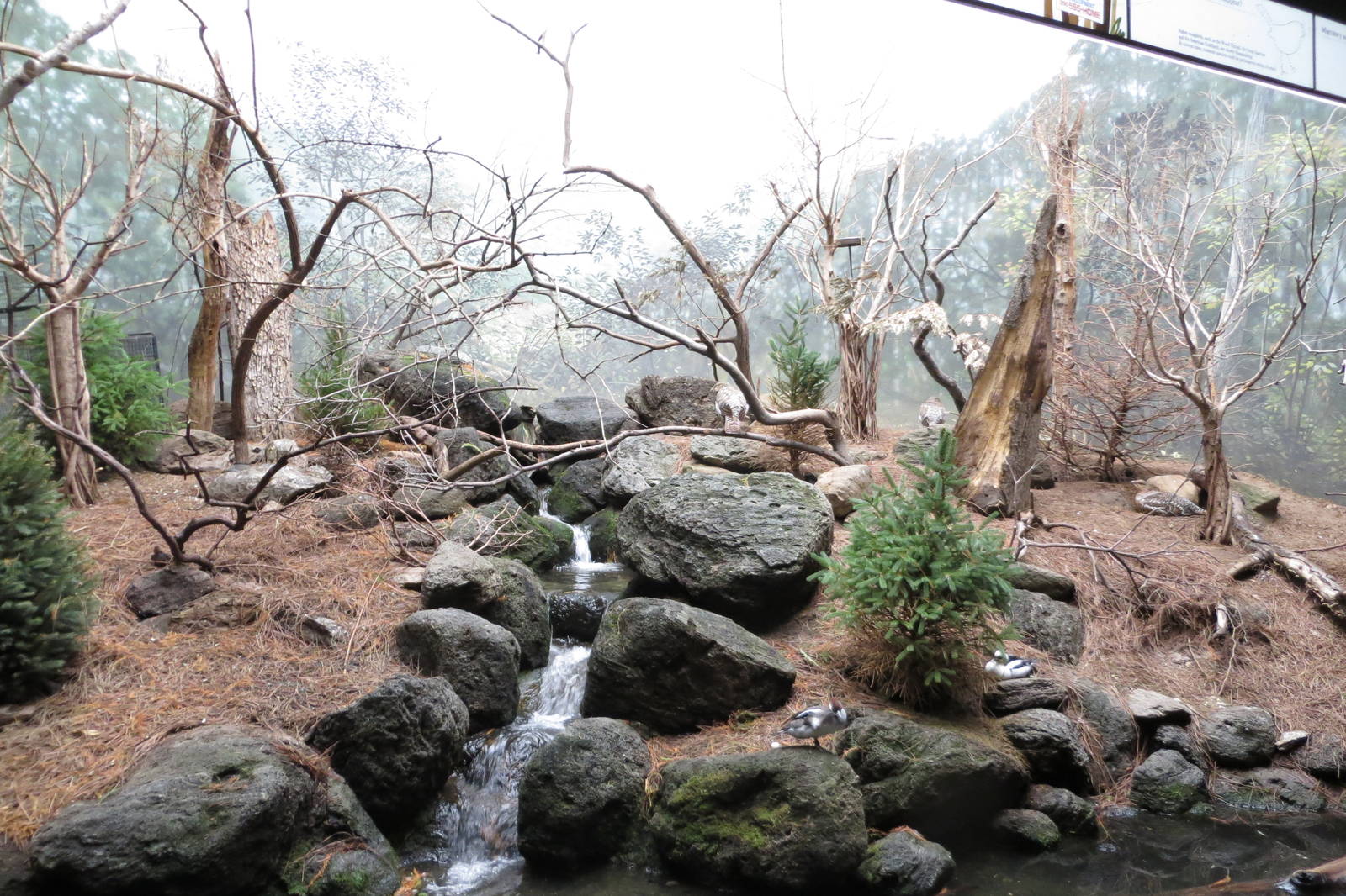 World of Birds 031215