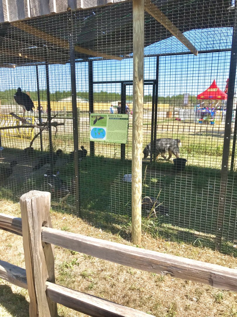 World of birds- abdims stork exhibit