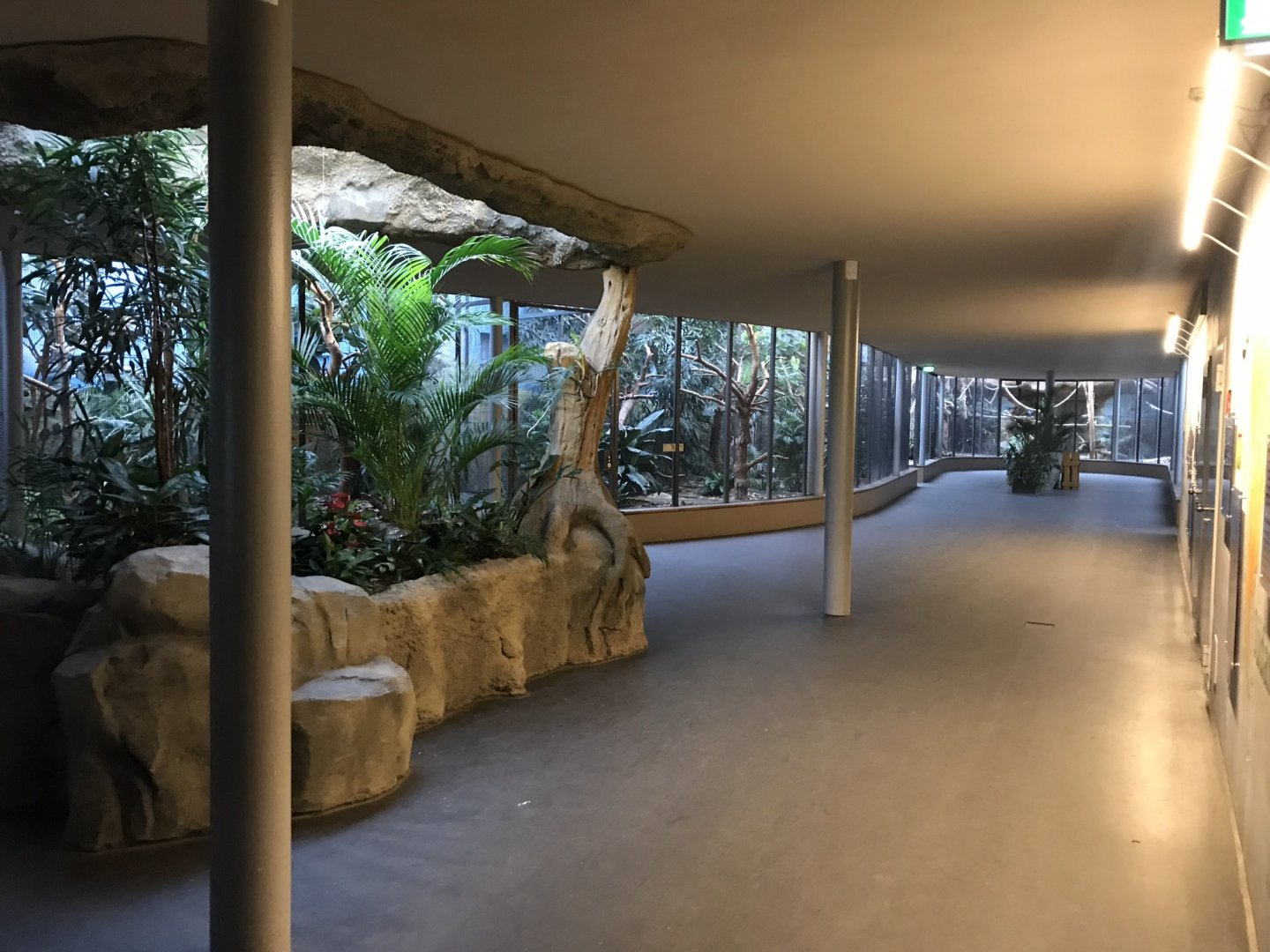 World of Birds aviaries 290118