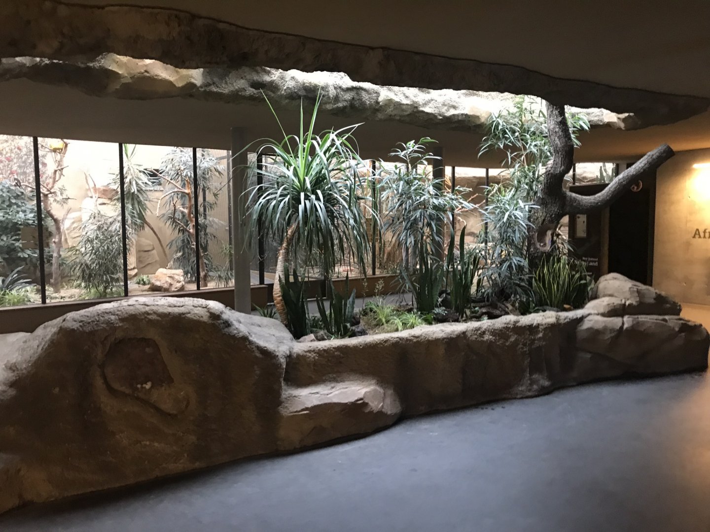 World of Birds aviaries 290118