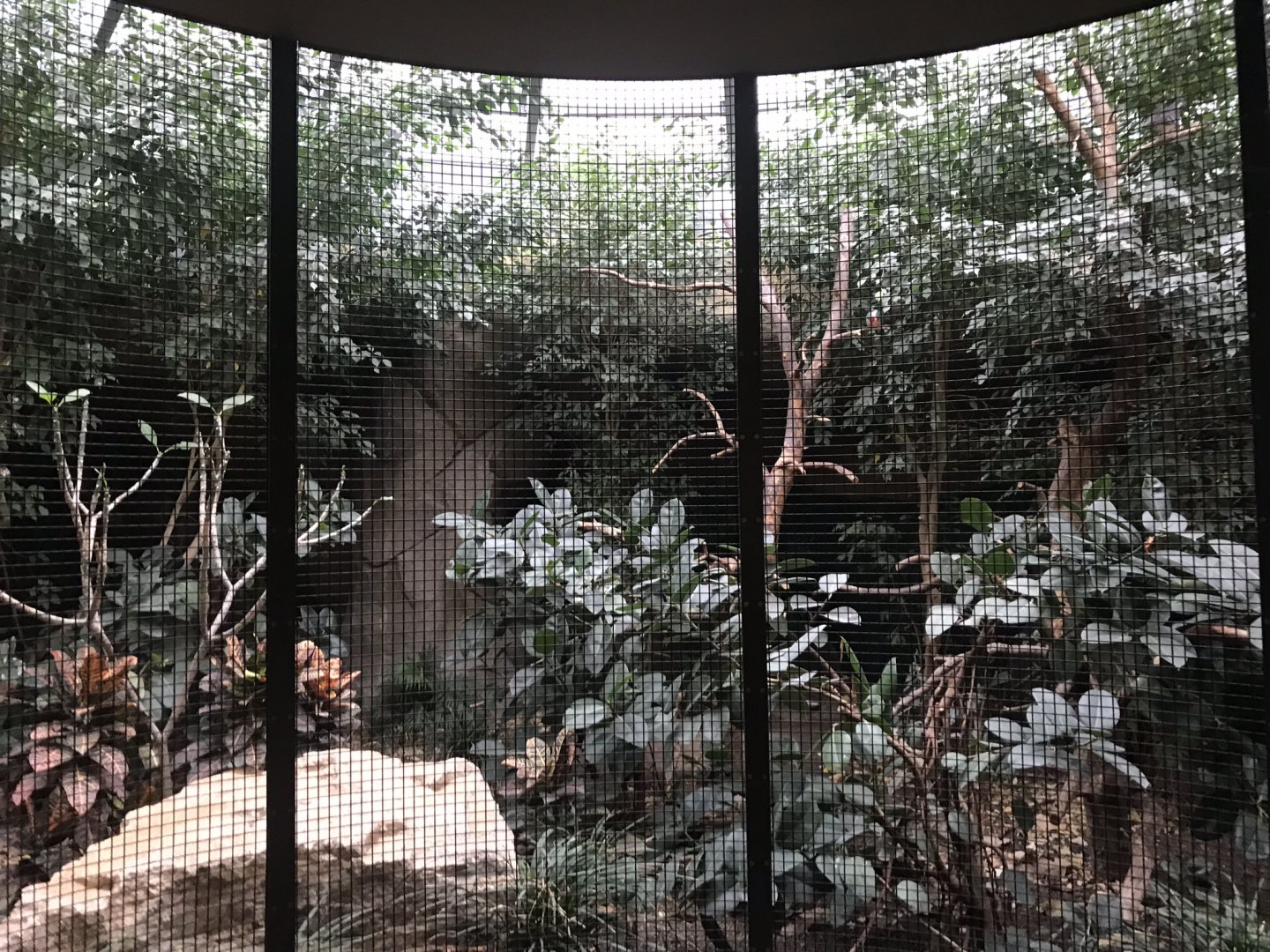 World of Birds aviary example 290118