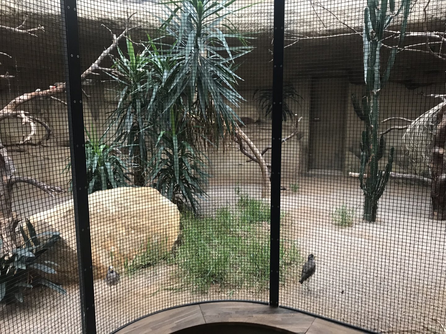 World of Birds - aviary example 290118