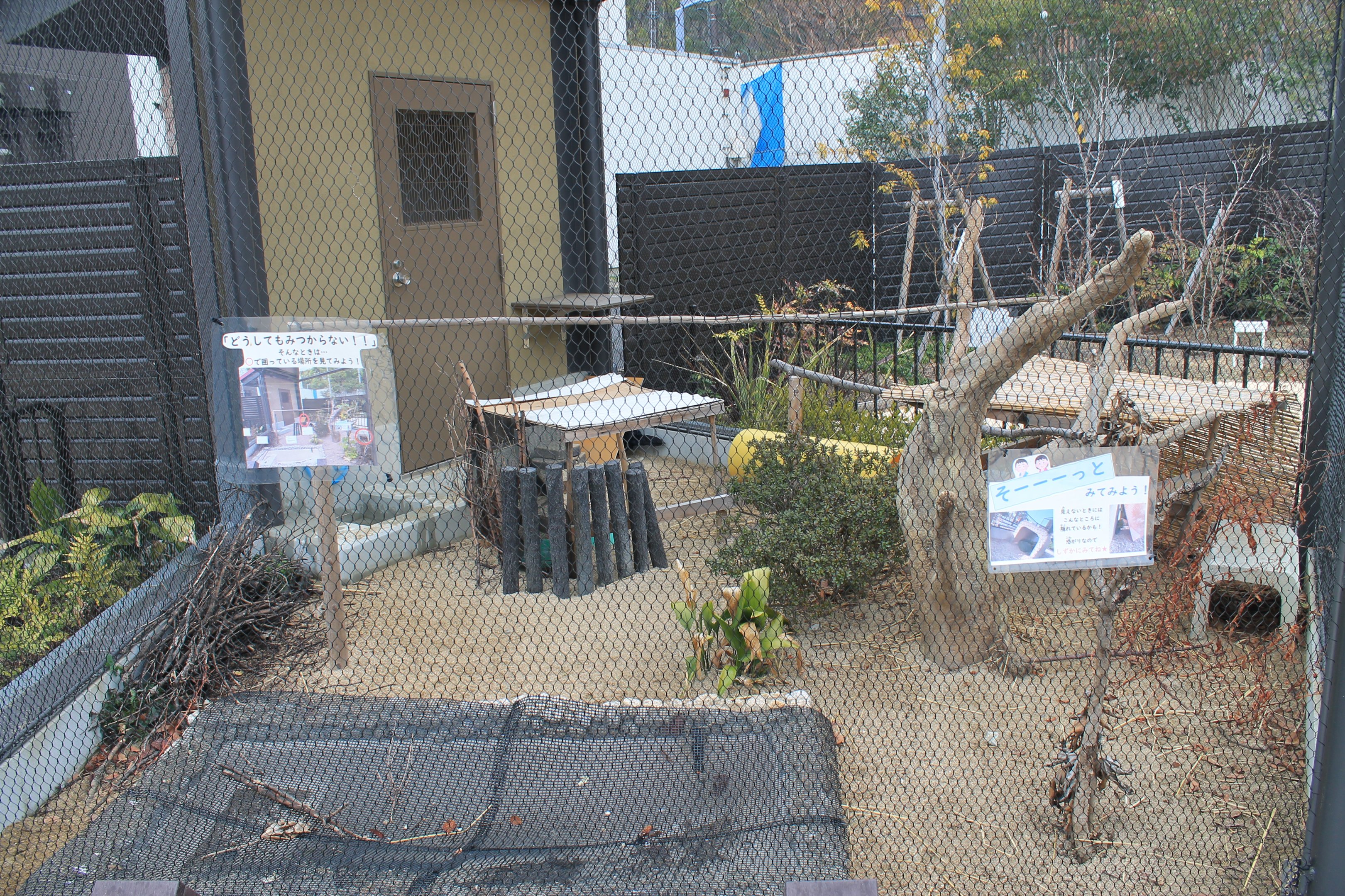 World of Birds aviary example