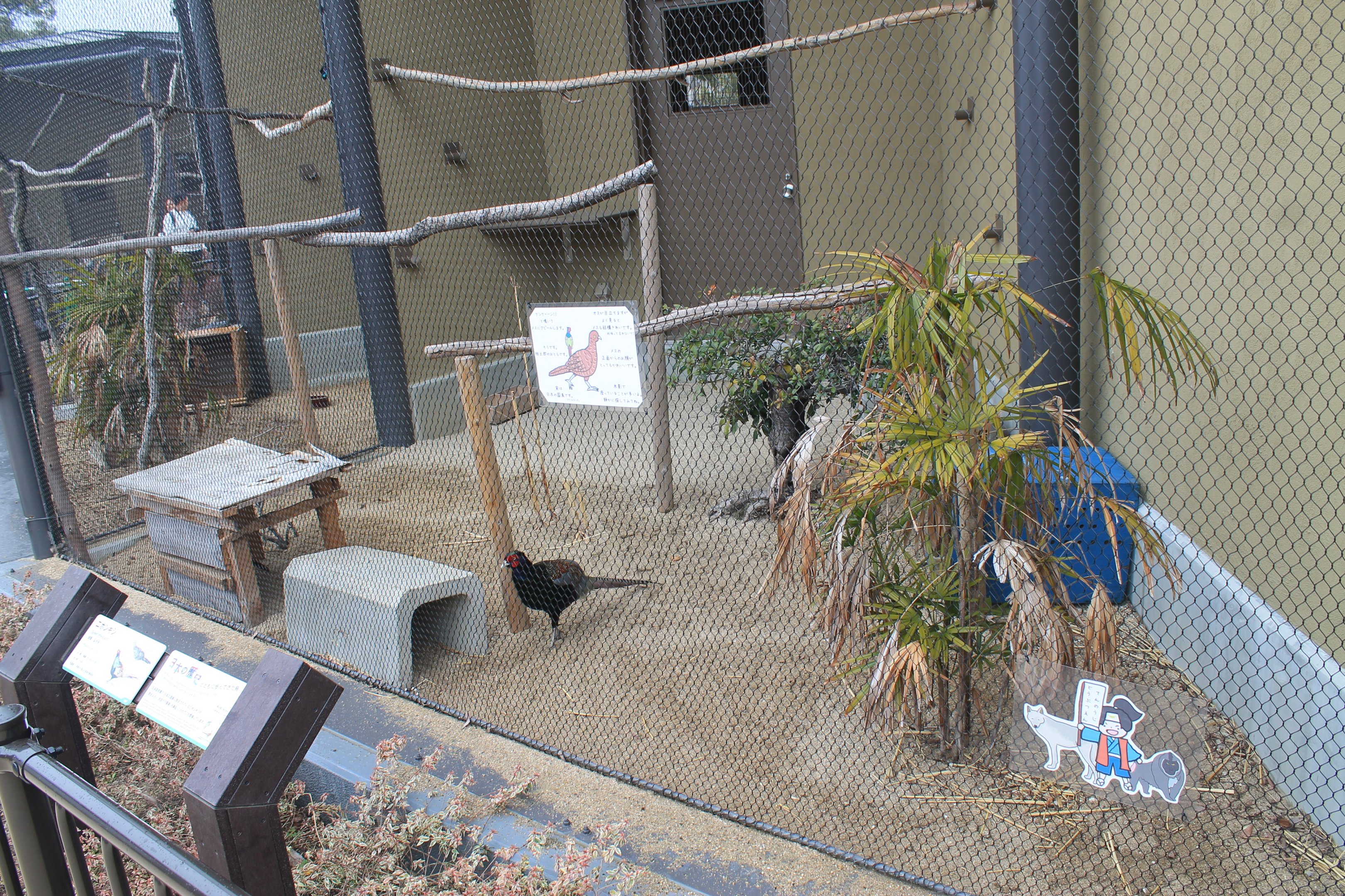 World of Birds aviary example