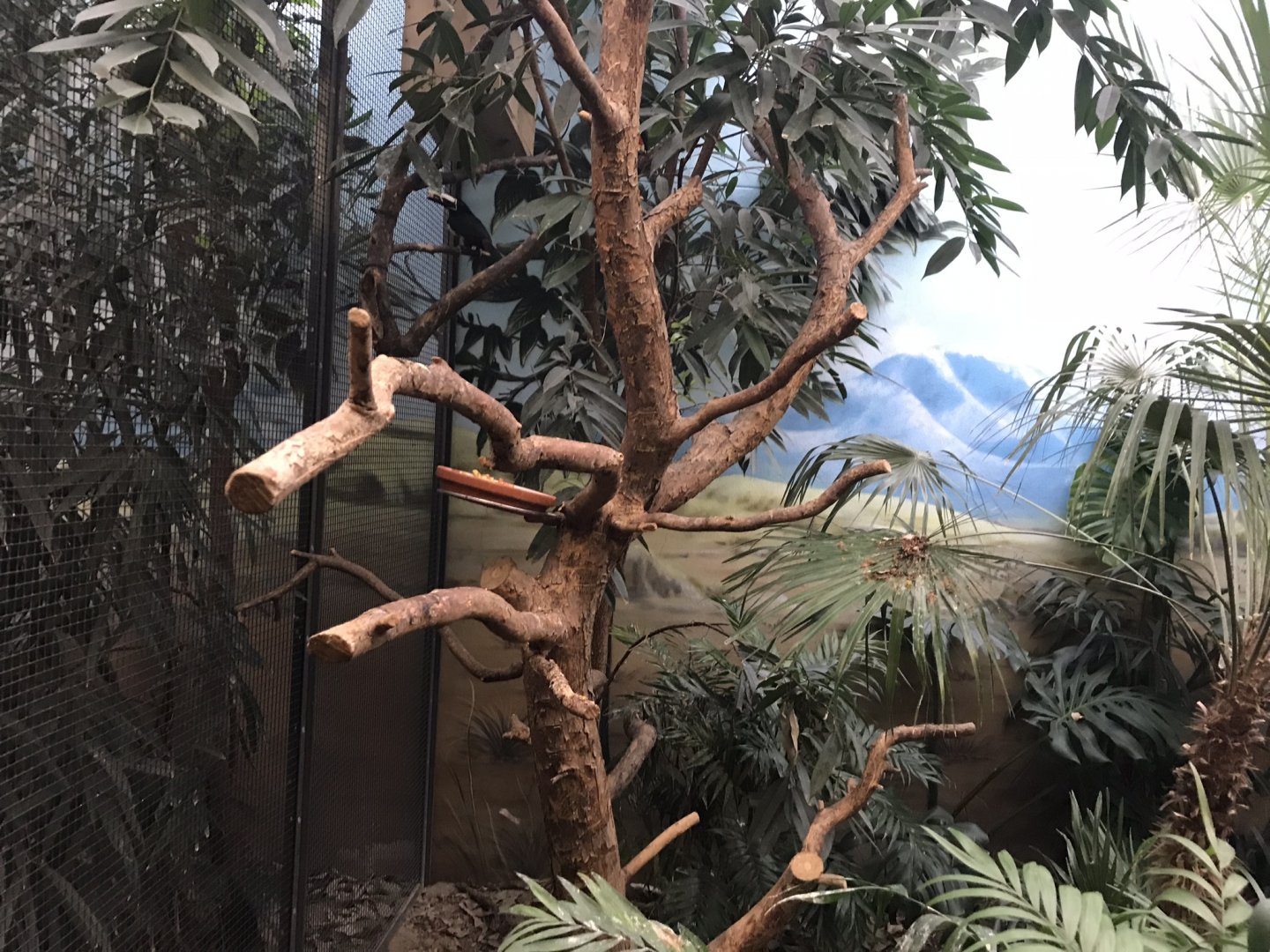 World of Birds - example of aviary interior 290118