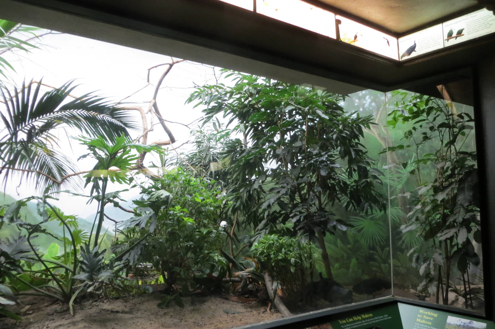 World of Birds exhibit 031215