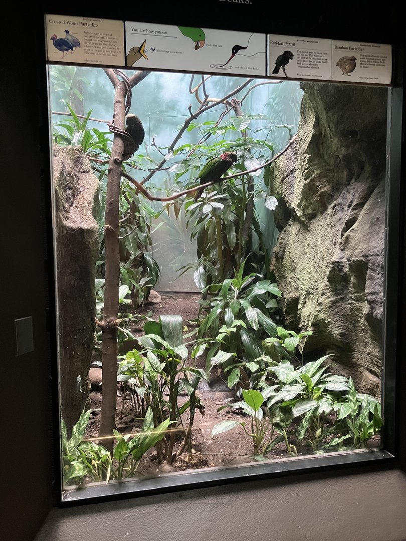 World of Birds - Exhibit Five