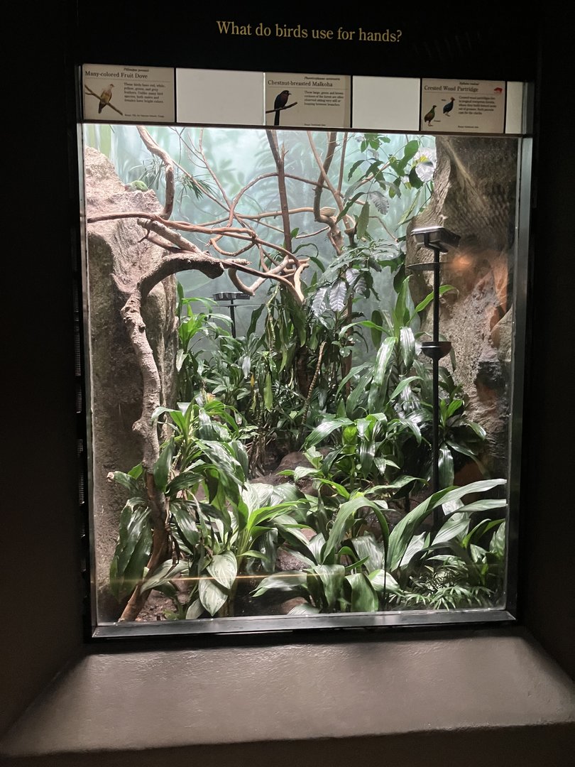 World of Birds - Exhibit Four