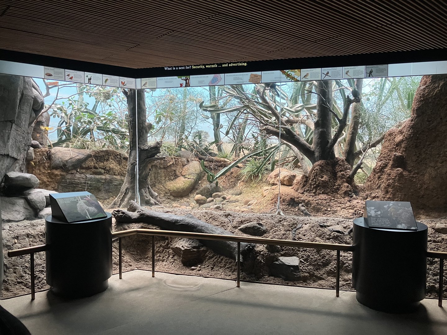 World of Birds - Exhibit Ten