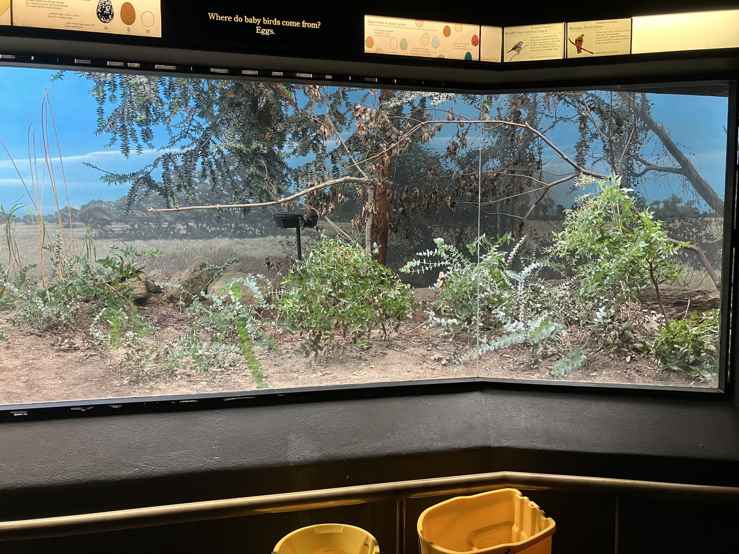 World of Birds - Exhibit Three