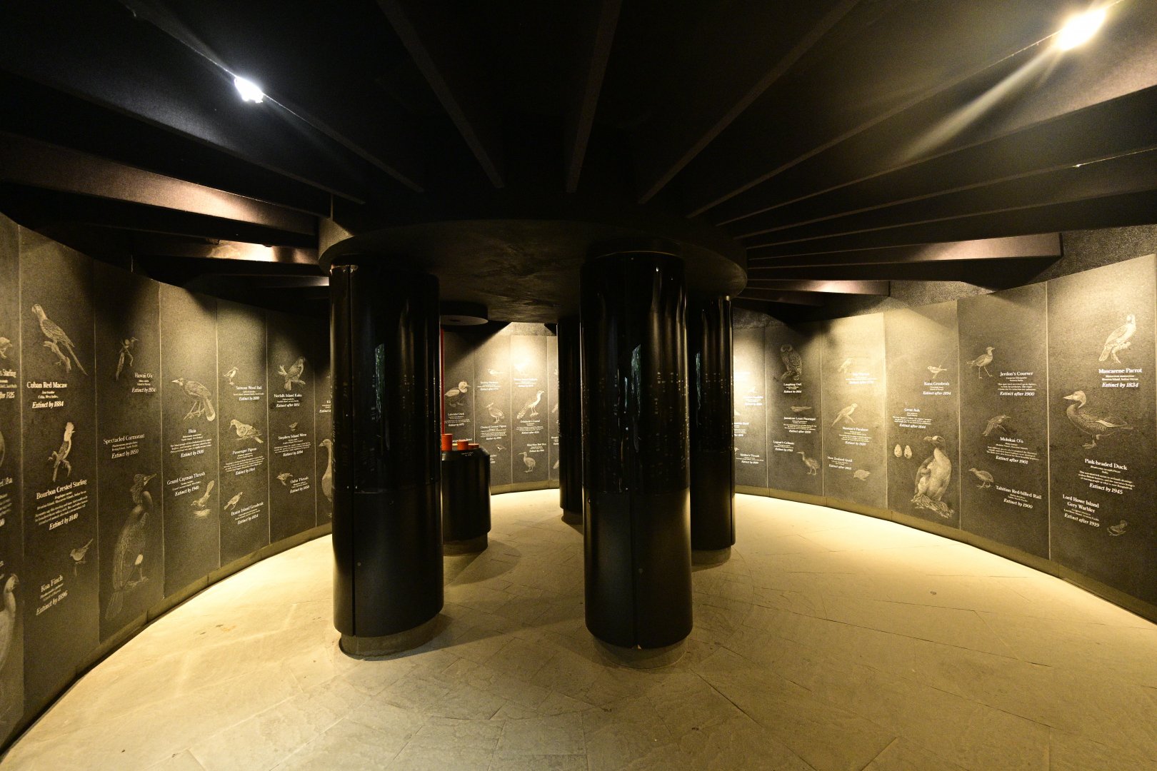 World of Birds - Extinction Room