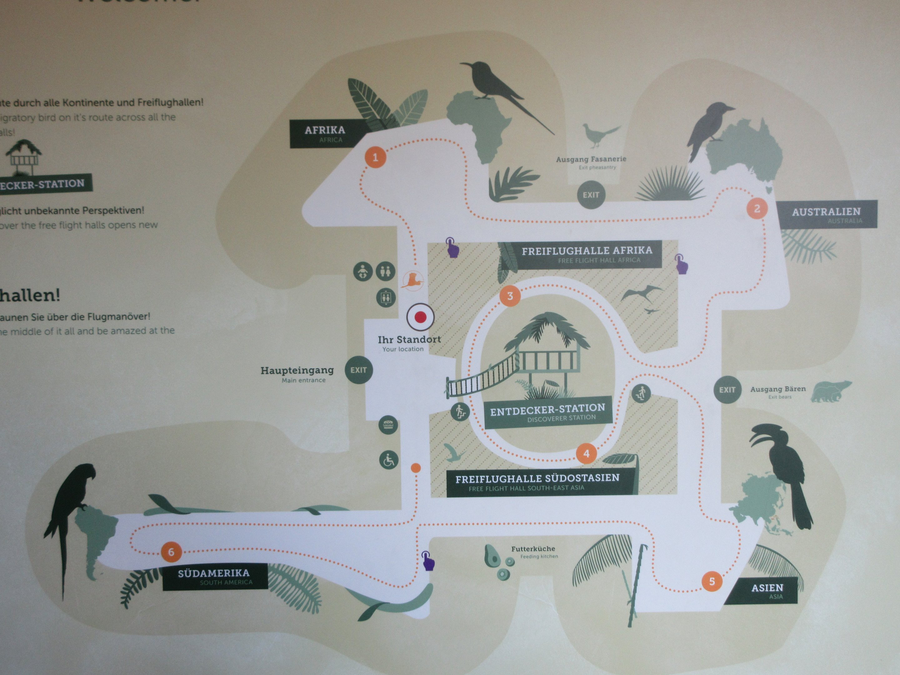 World of Birds - Map