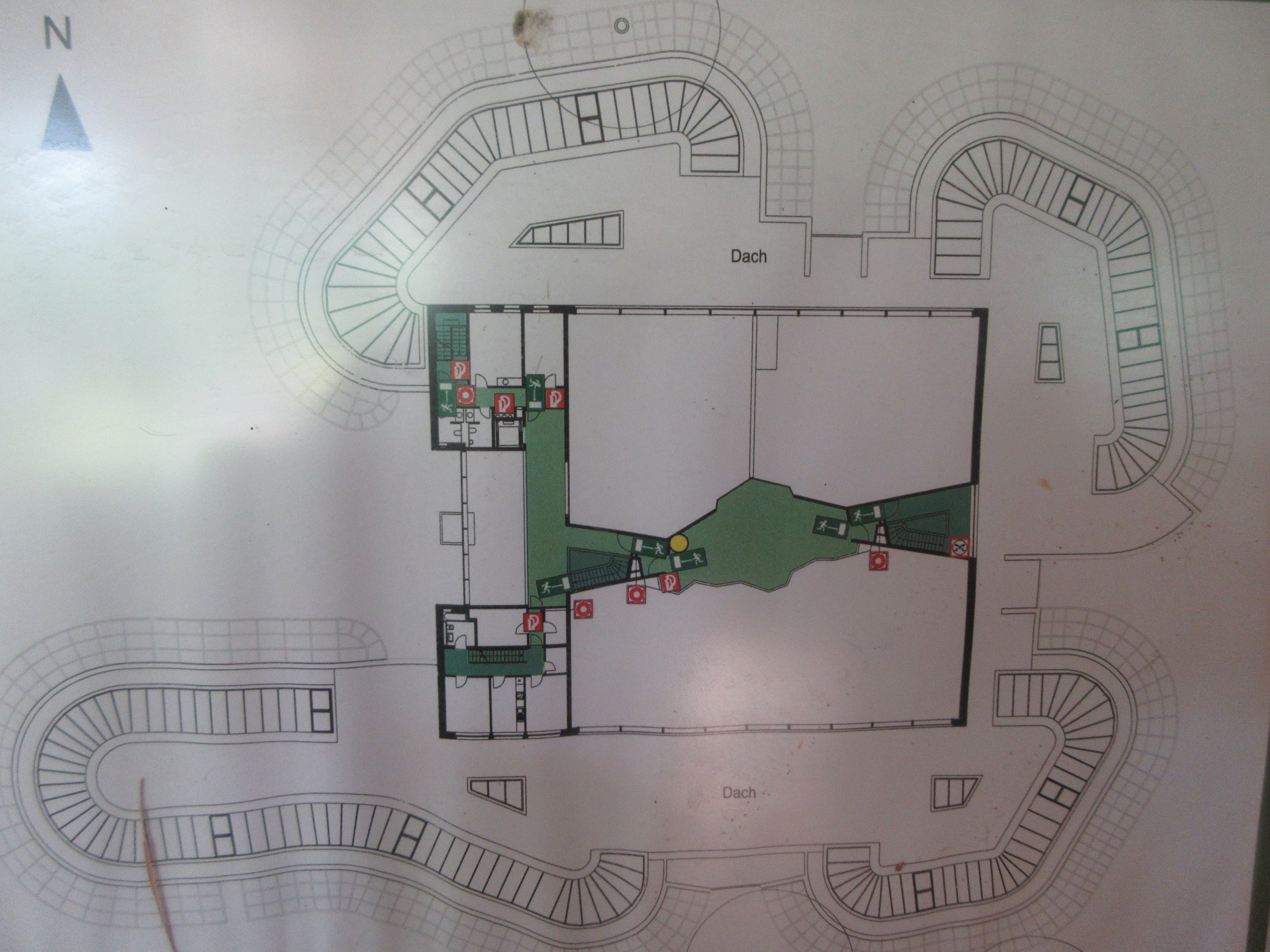 World of Birds - Map
