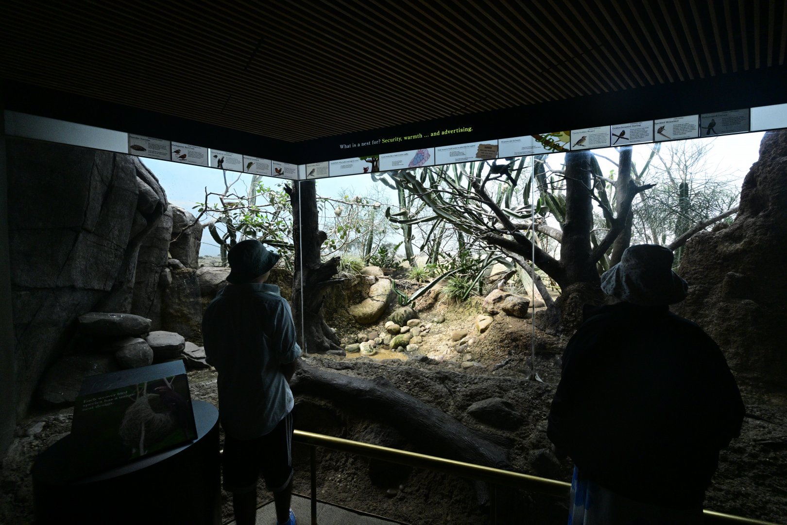 World of Birds - Nesting Exhibit