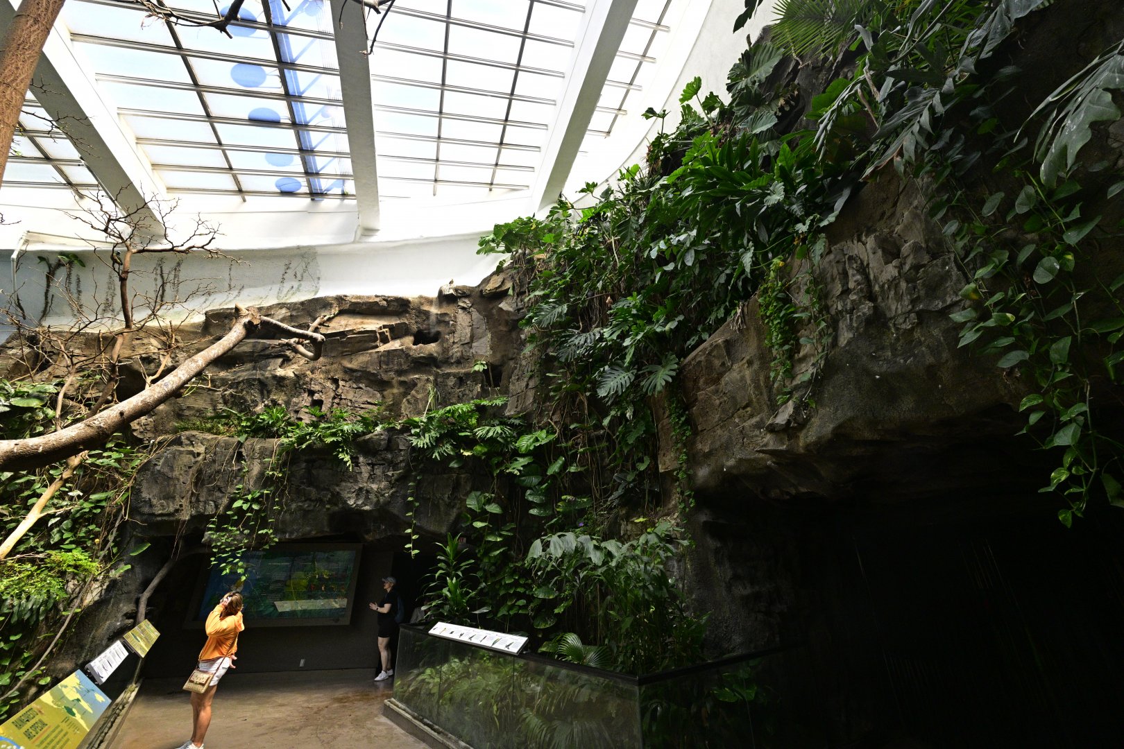 World of Birds - Rain Forest Exhibit Rockwork