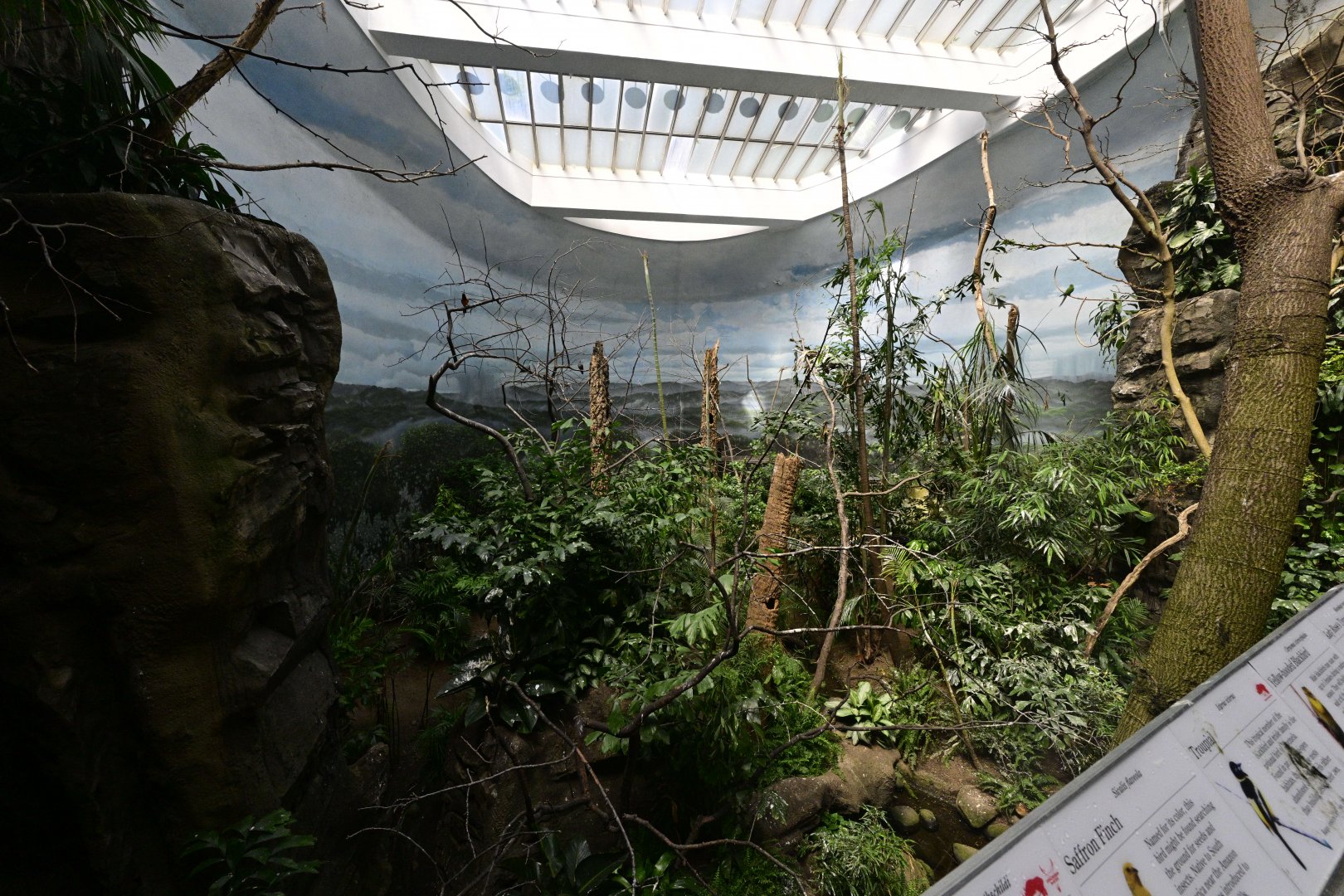 World of Birds - Rain Forest Exhibit