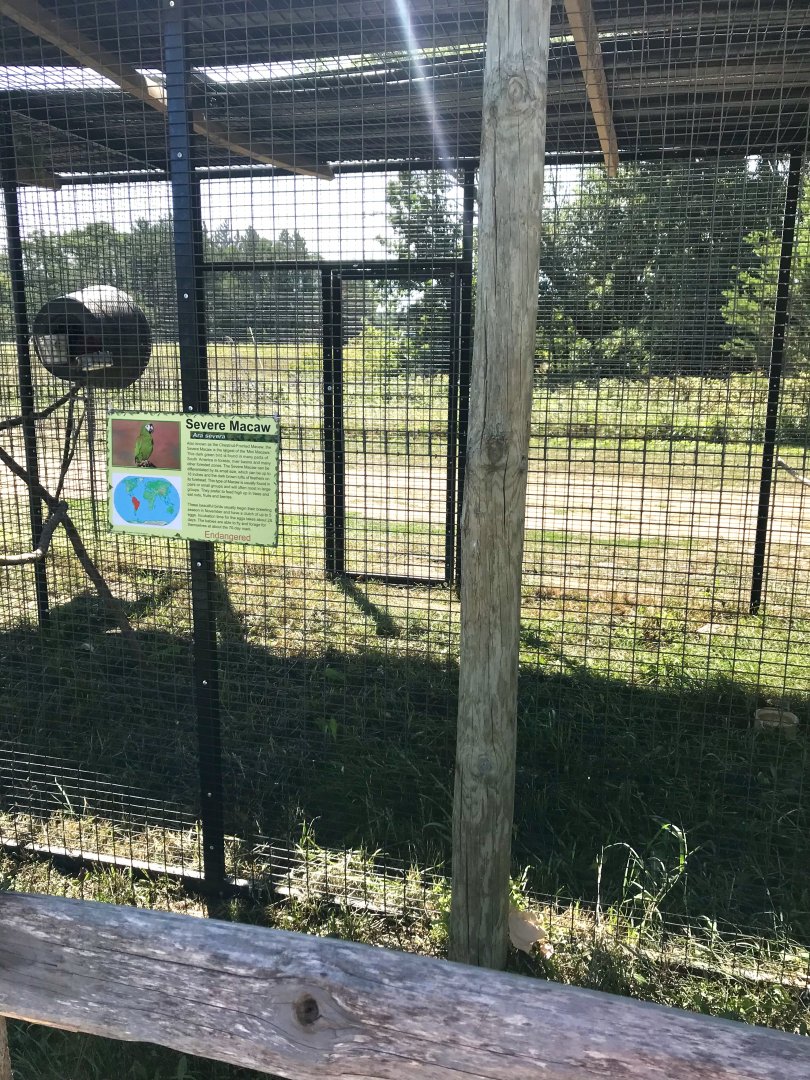 World of birds- severe macaw exhibit