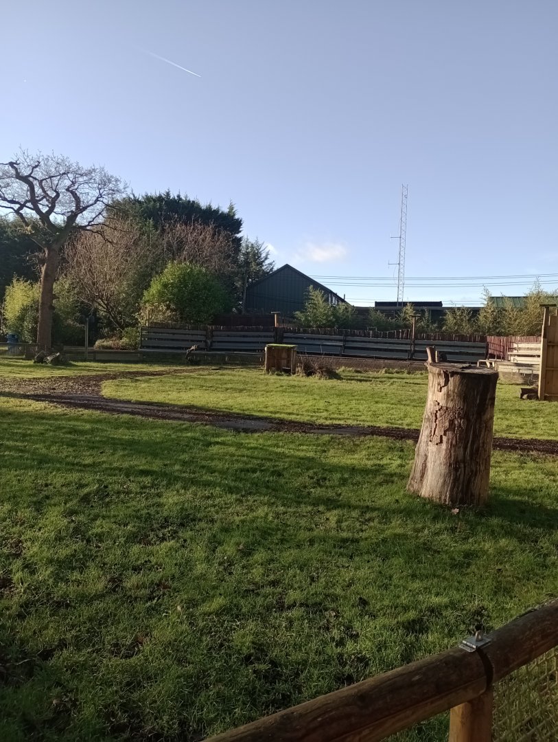 World of Birds show arena