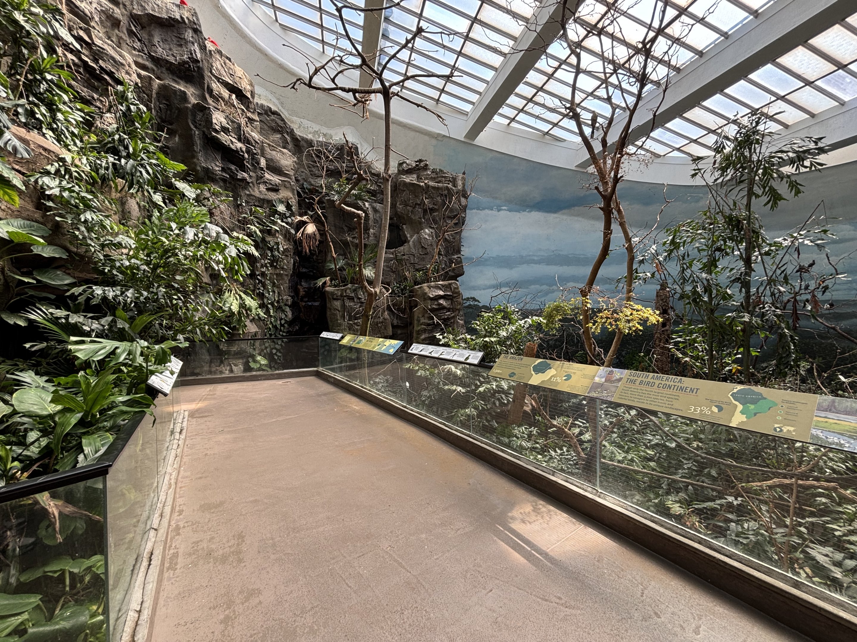 World of Birds - South America