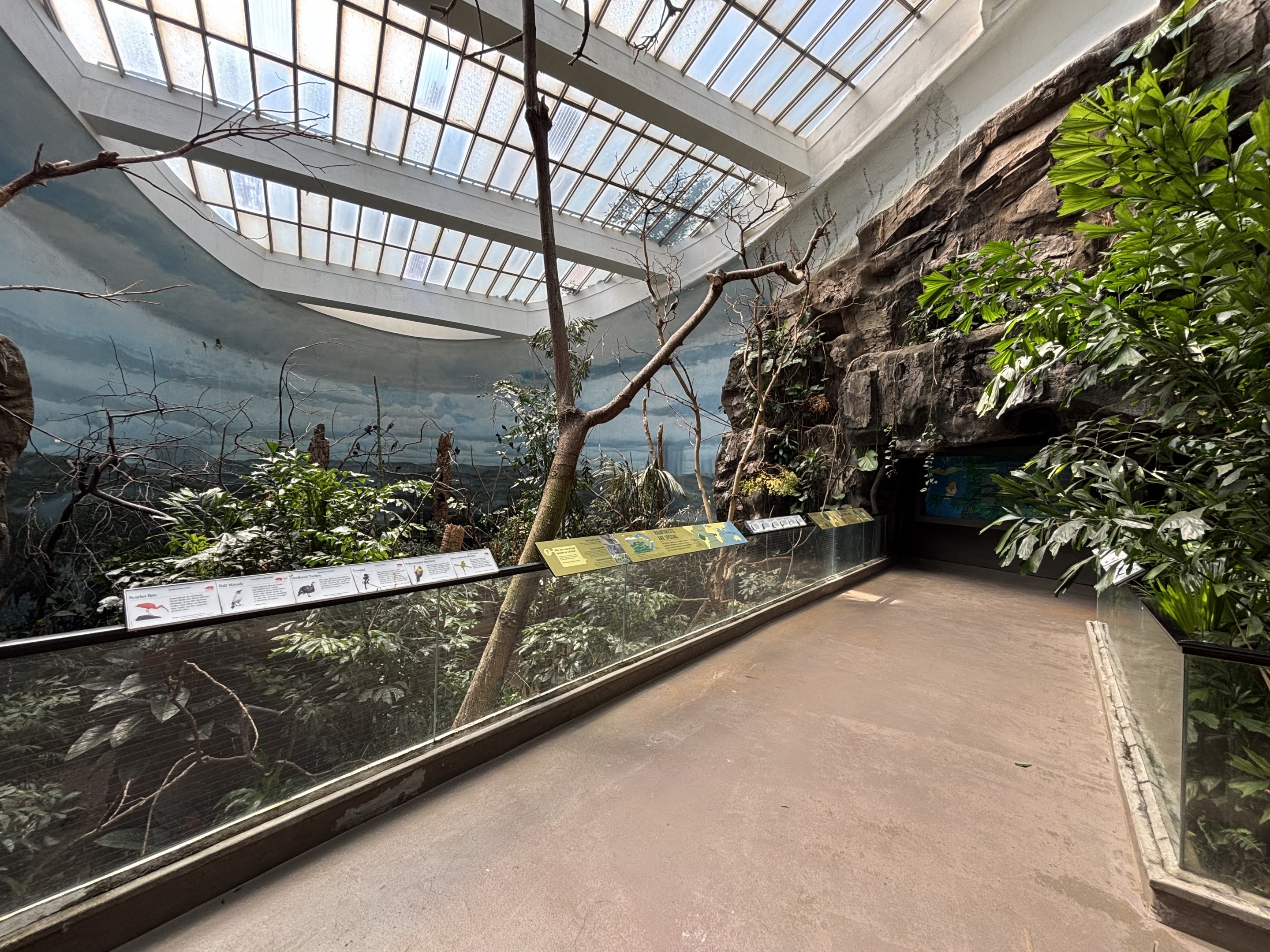 World of Birds - South America