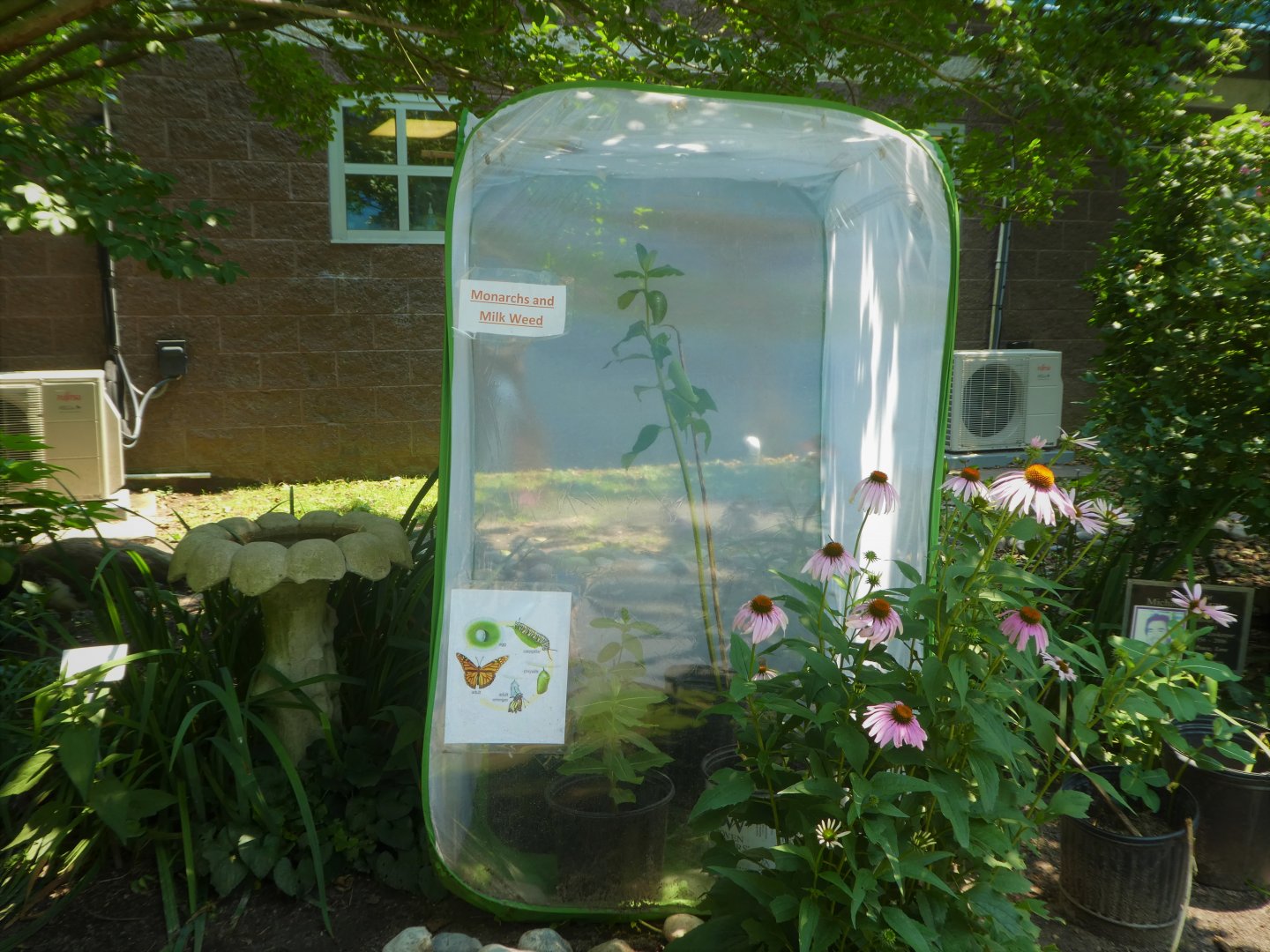 World of Birds - Temporary Monarch Butterfly Exhibit