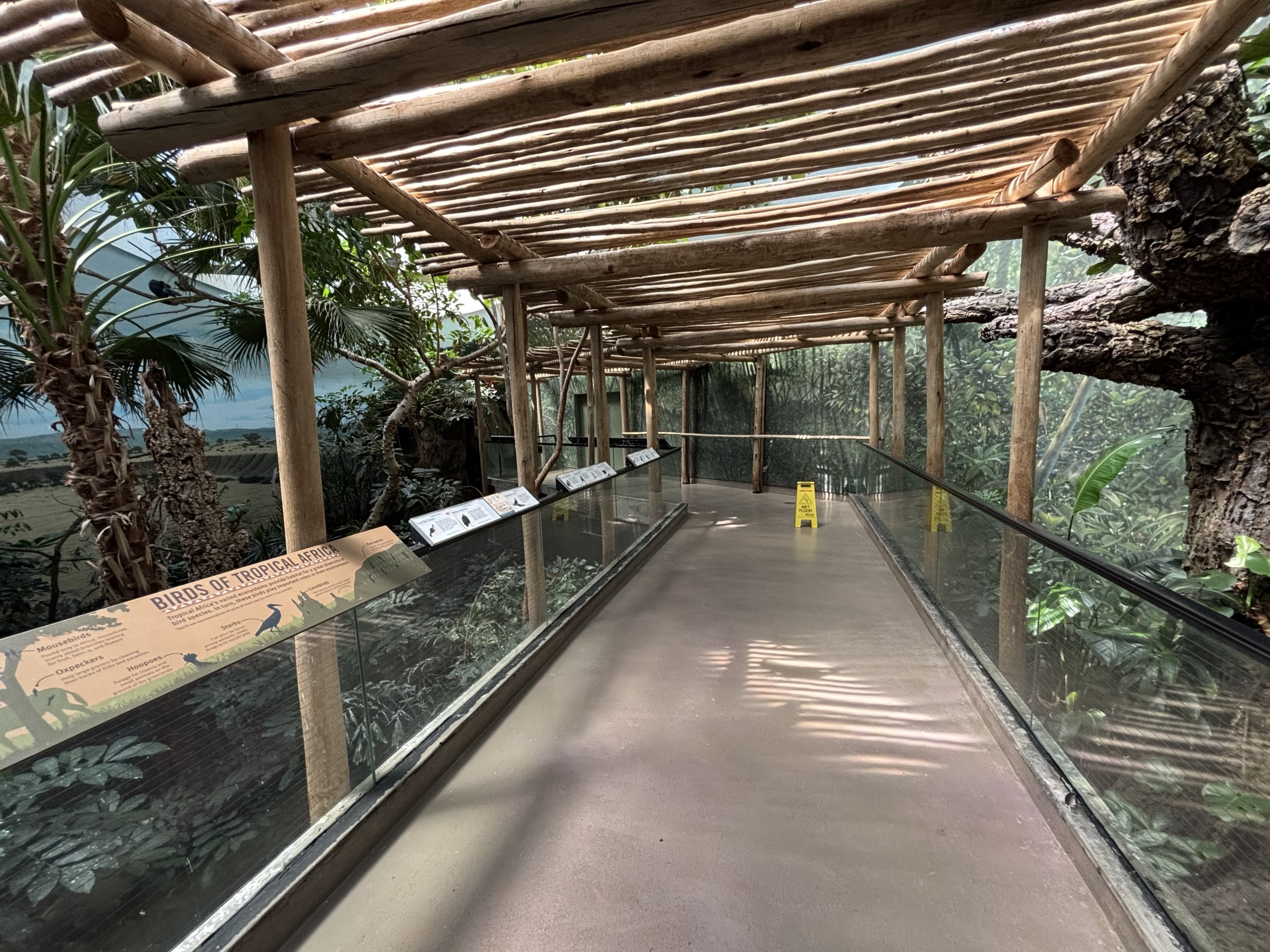 World of Birds - Tropical Africa