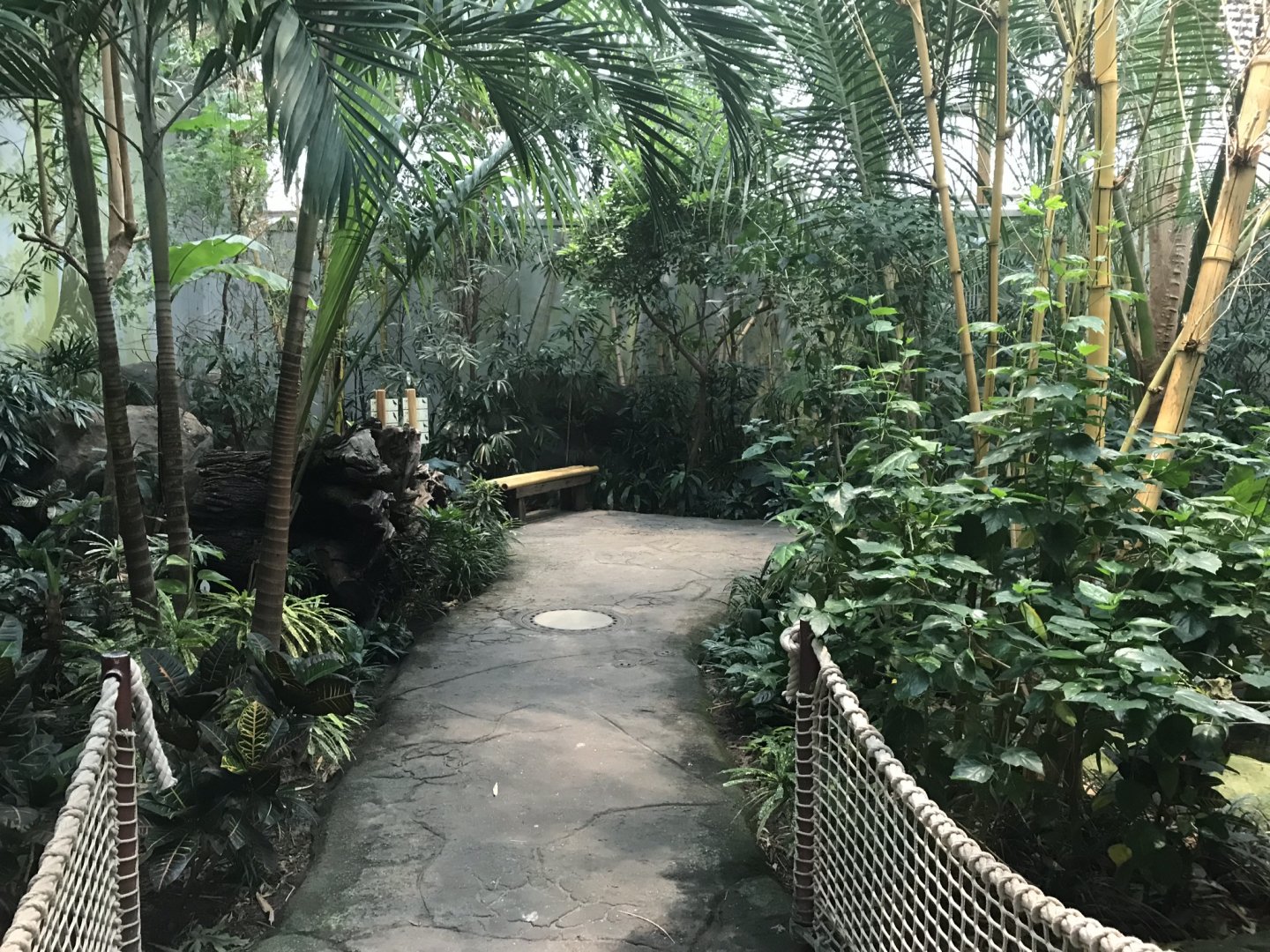 World of Birds - Walkthrough aviary 290118