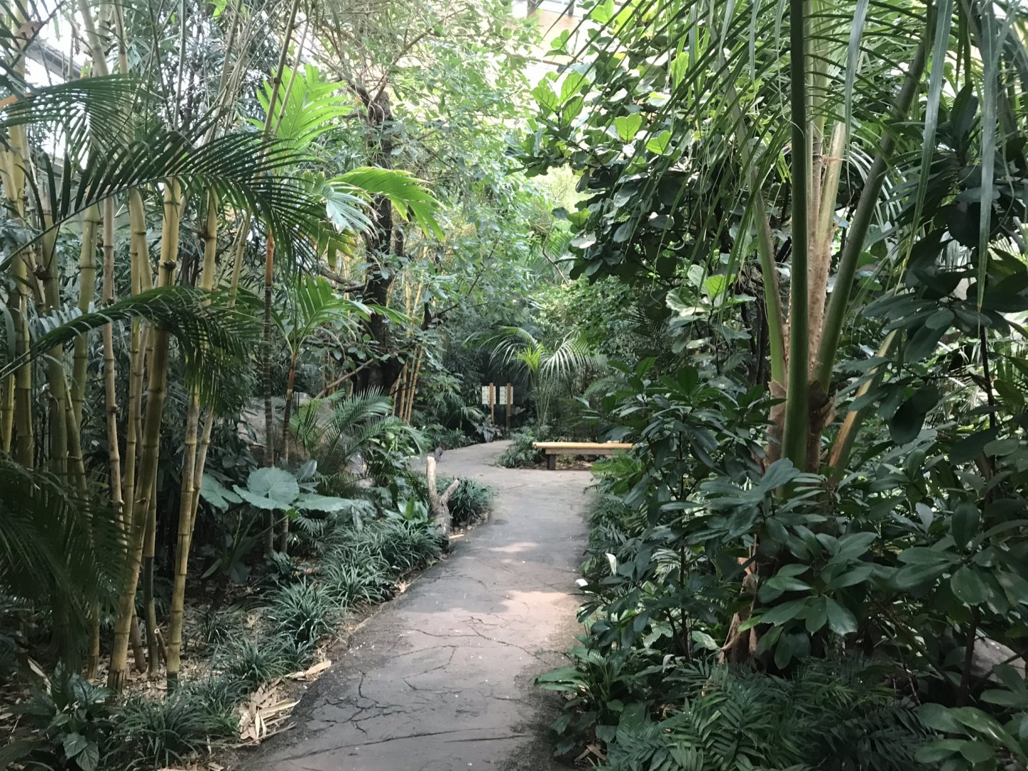 World of Birds - Walkthrough aviary 290118