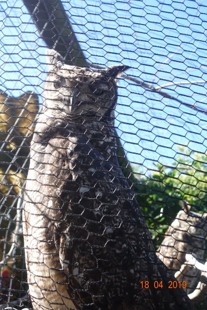 World of Birds Wildlife Sanctuary and Monkey Park 18.4.19