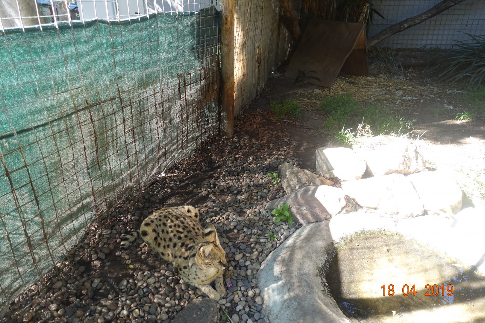 World of Birds Wildlife Sanctuary and Monkey Park 18.4.19