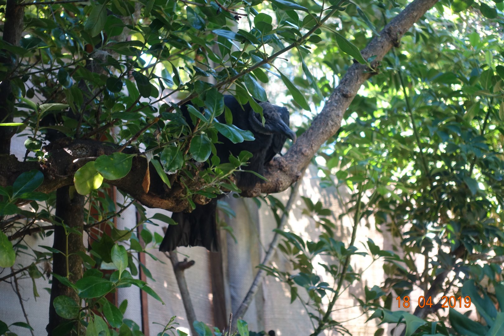 World of Birds Wildlife Sanctuary and Monkey Park 18.4.19