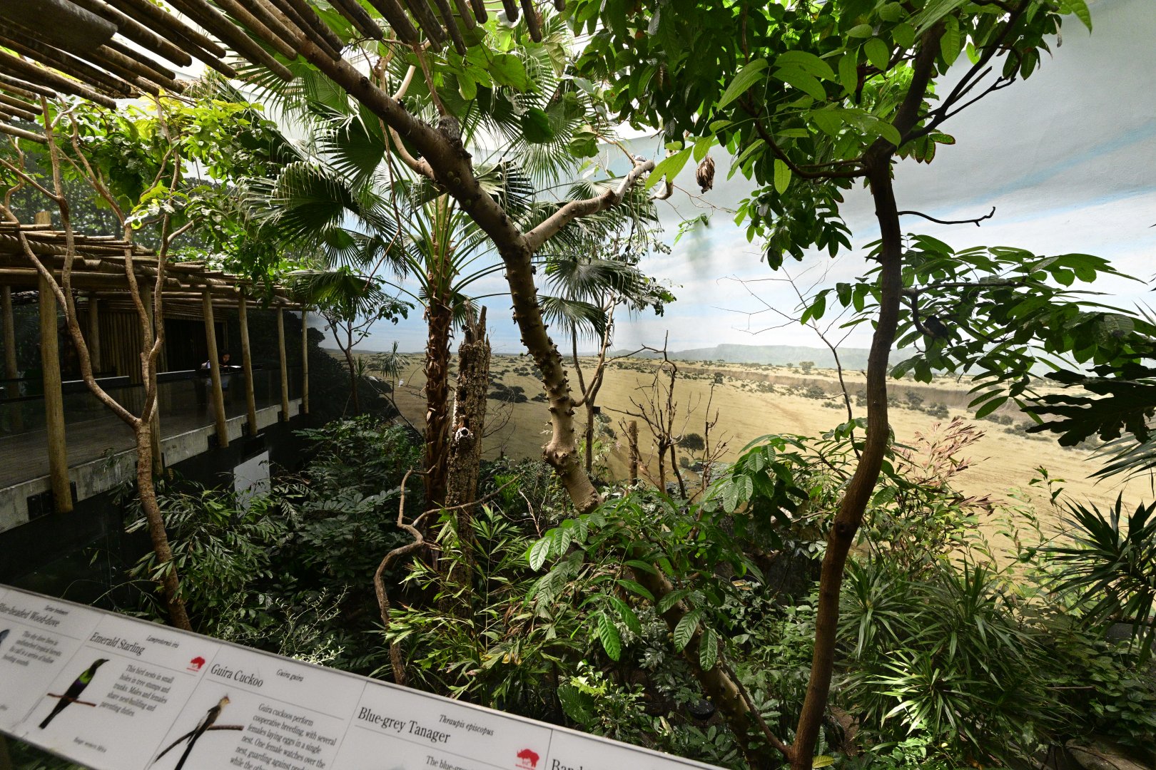 World of Birds - Woodlands Exhibit