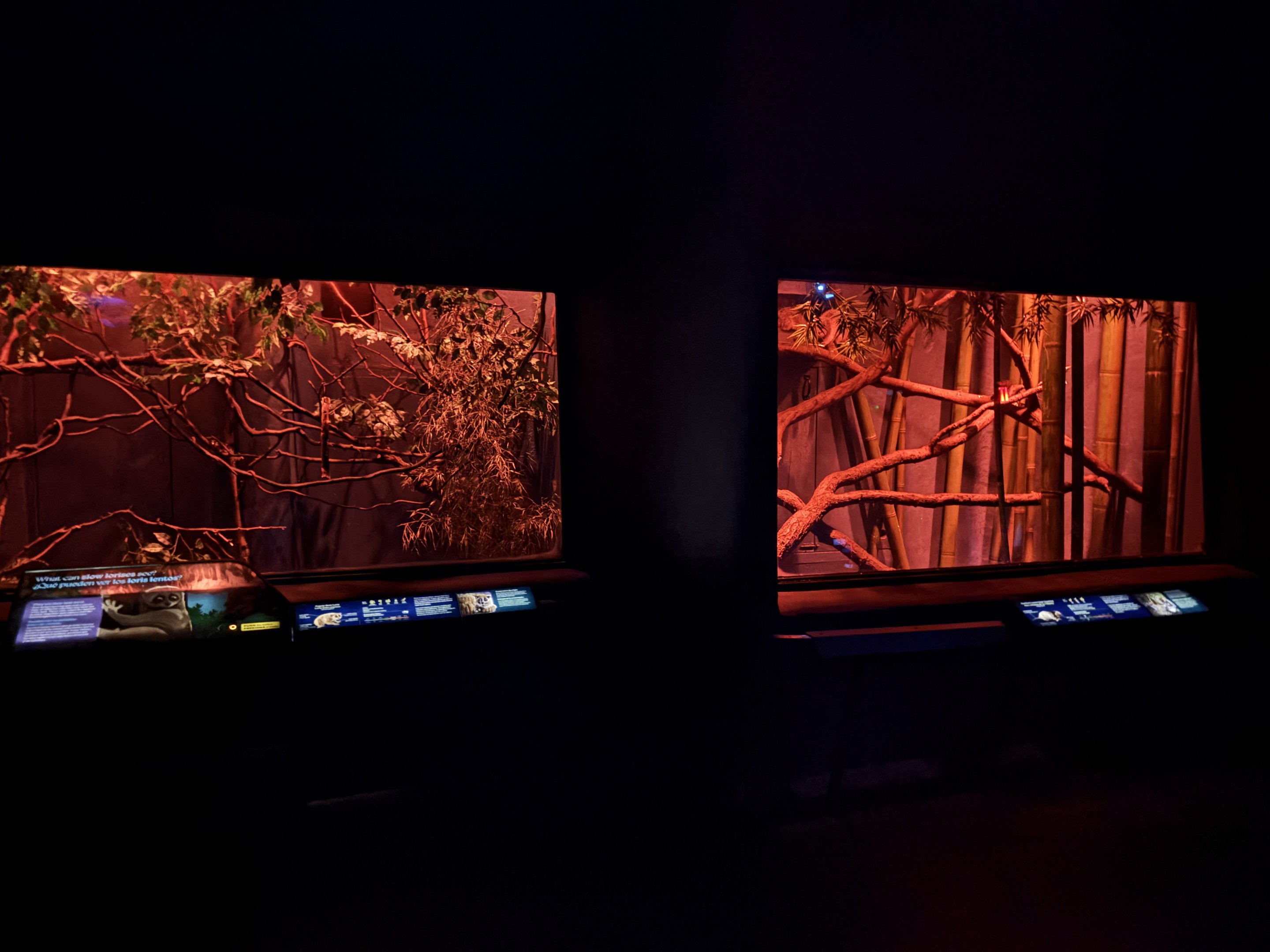 World of Darkness (2 species)