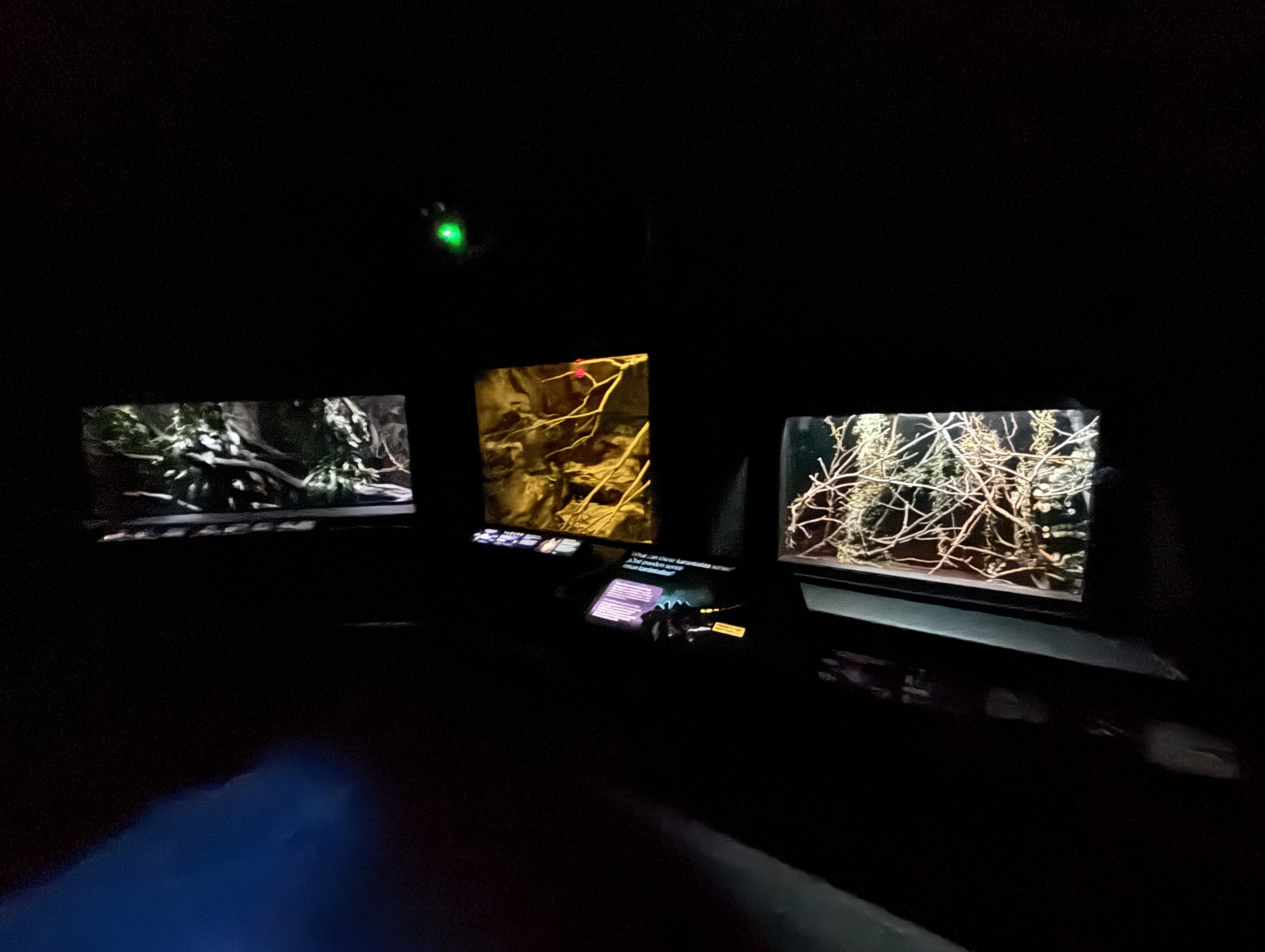 World of Darkness - assorted exhibits