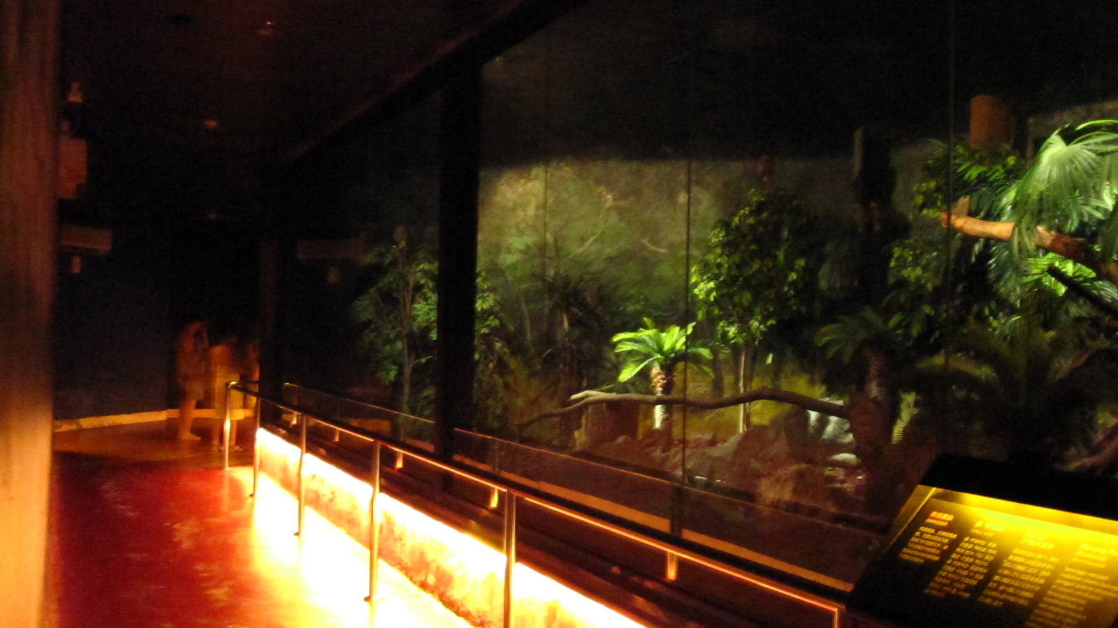 World of Darkness - Australian exhibit