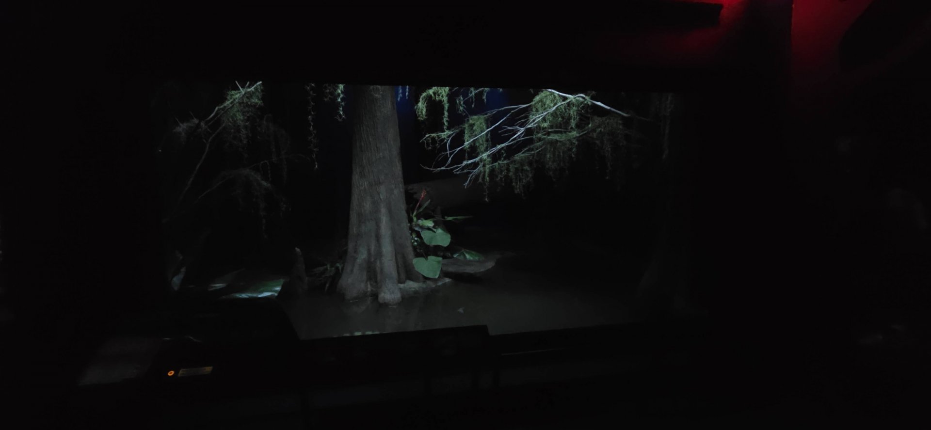 World of Darkness Broad-snouted Caiman Exhibit