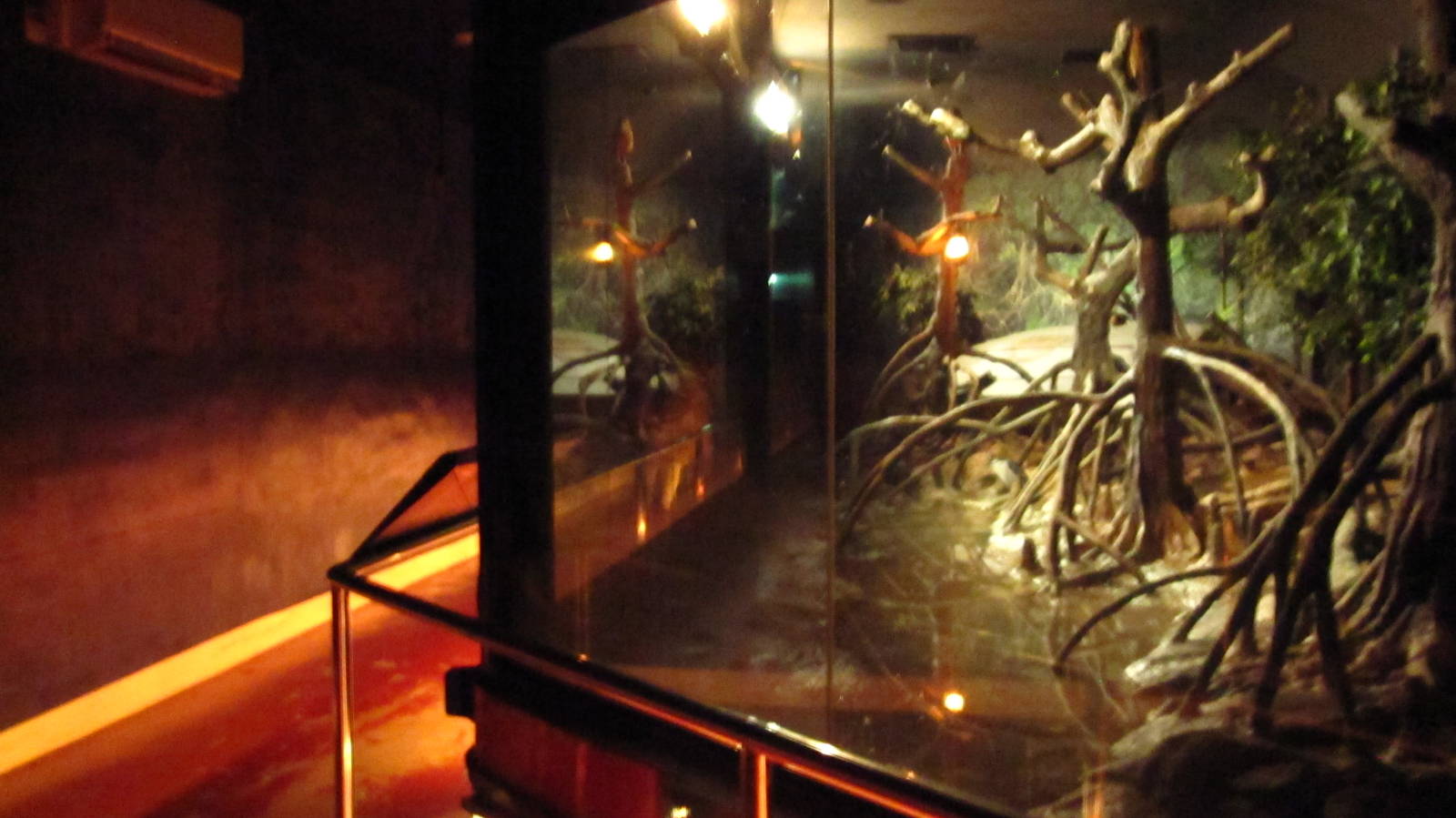 World of Darkness - Mangrove exhibit