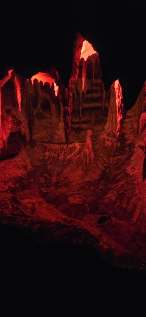 World of Darkness Vampire Bat Exhibit