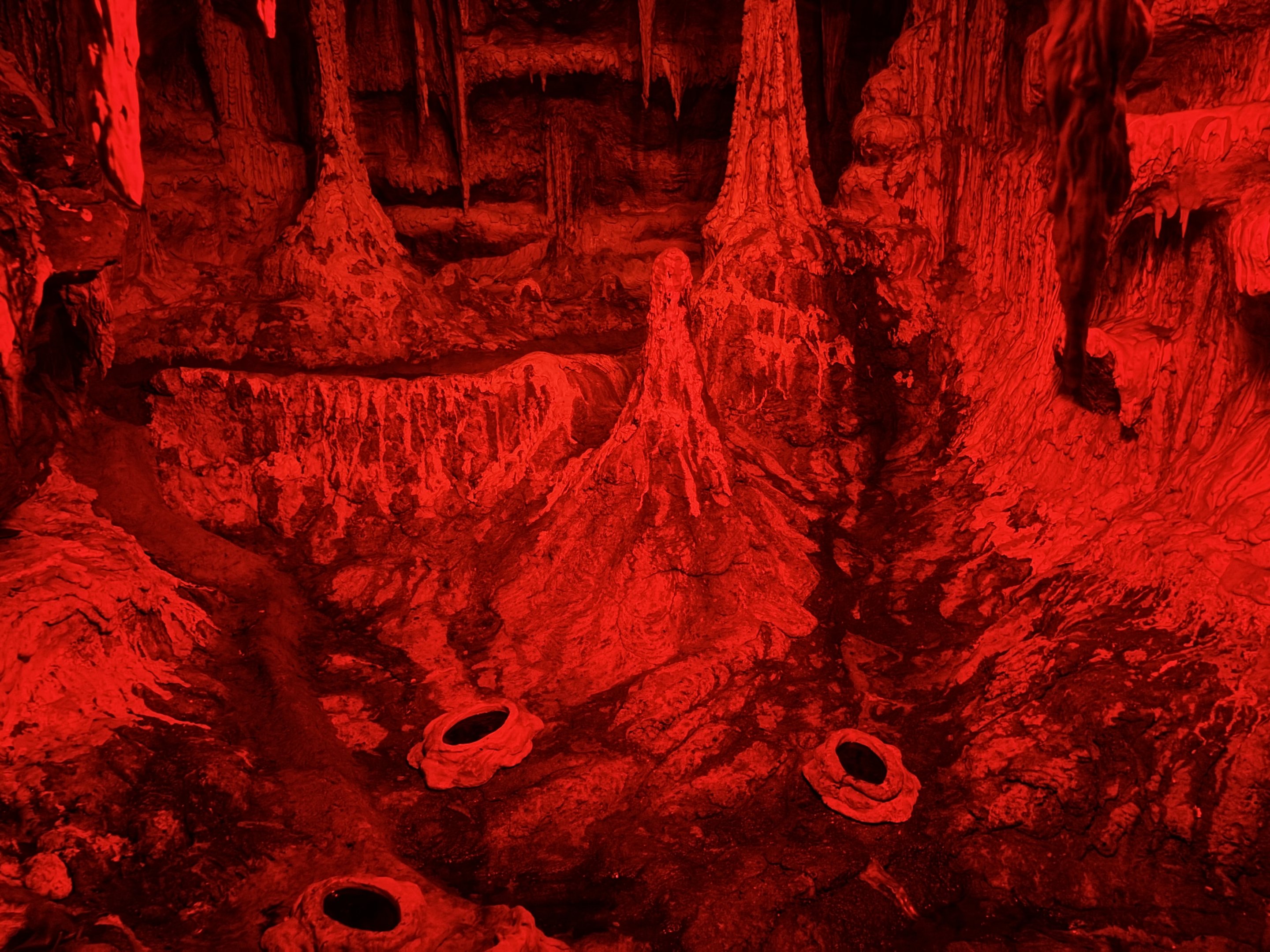 World of Darkness - Vampire Bat Exhibit