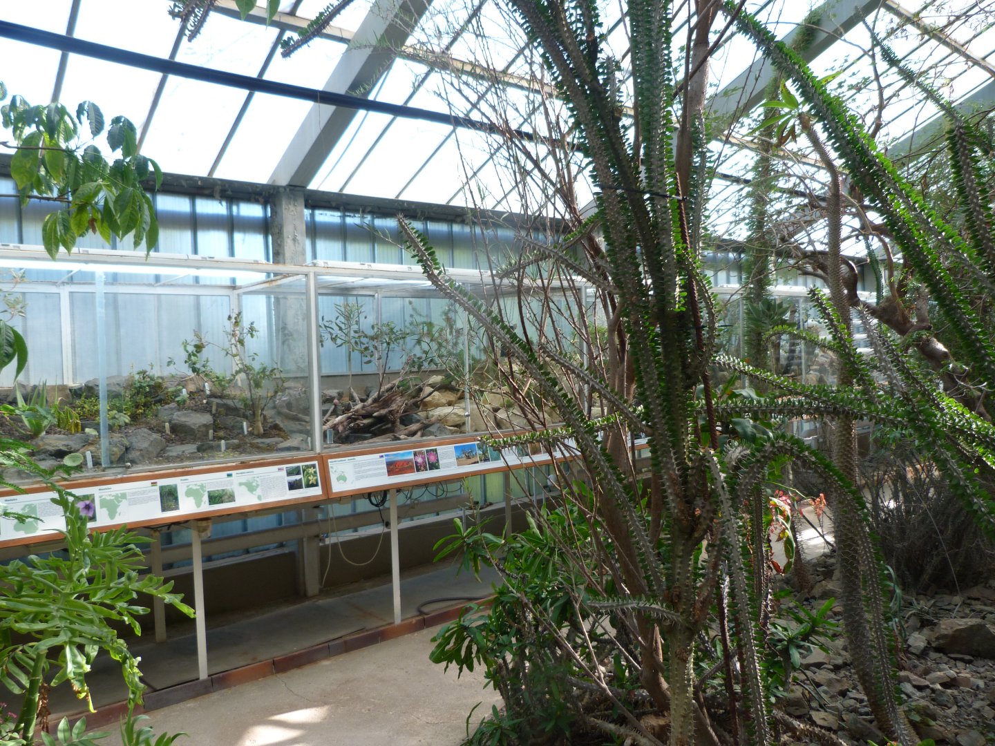 "World of Drought" view -Zoo Plzeň (2025)