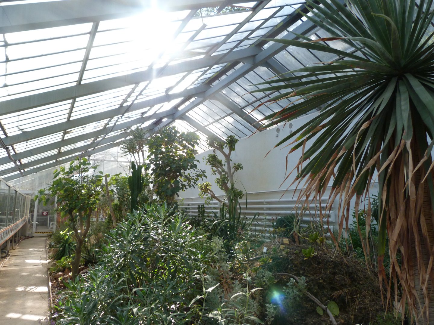 "World of Drought" view -Zoo Plzeň (2025)