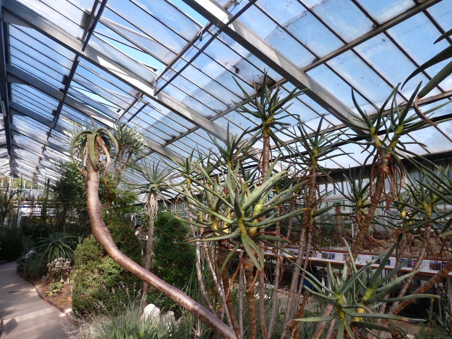 "World of Drought" view -Zoo Plzeň (2025)