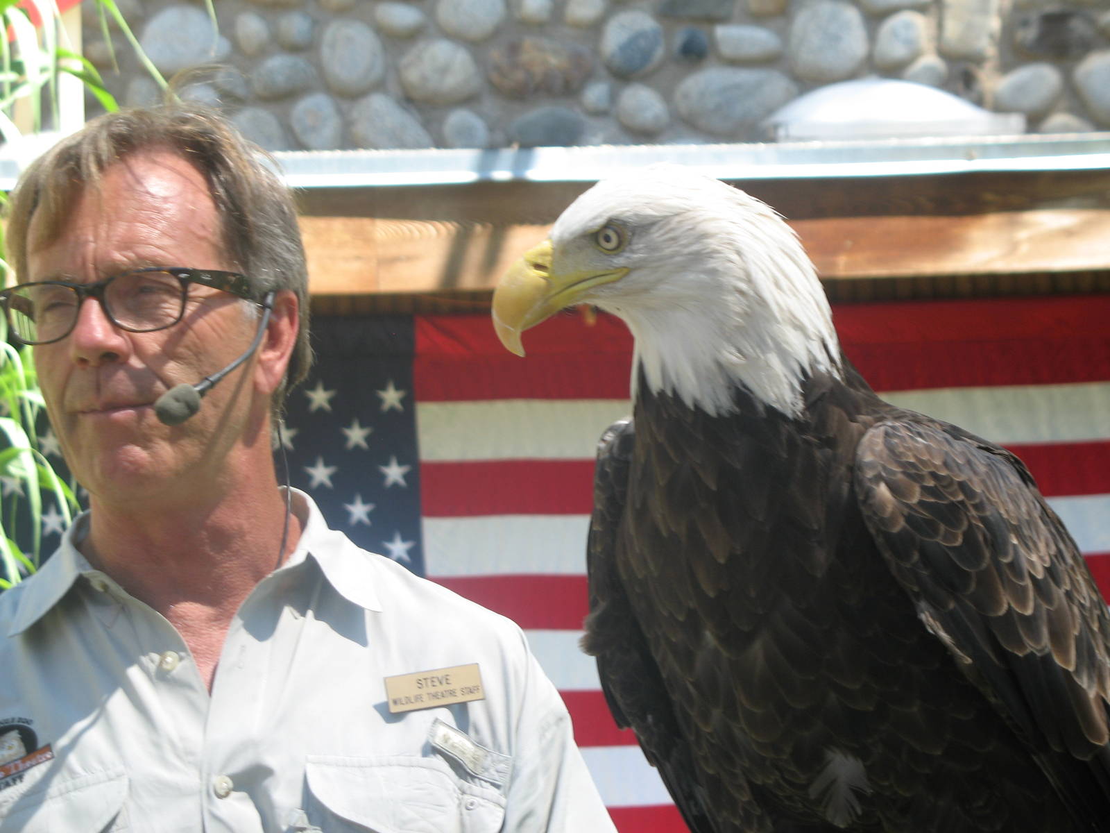 World of Flight host with bald eagle