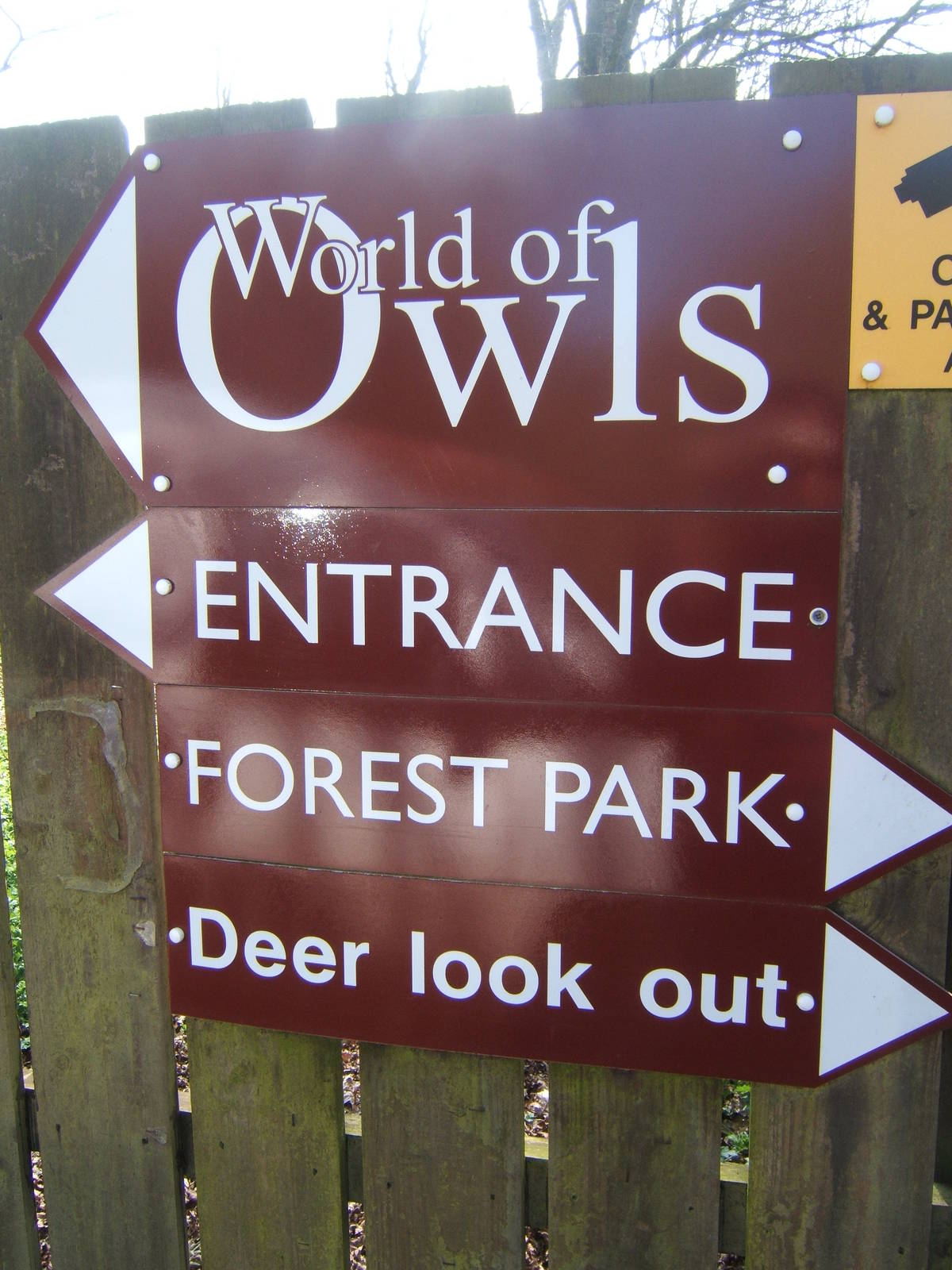 World of Owls,Randalstown NI