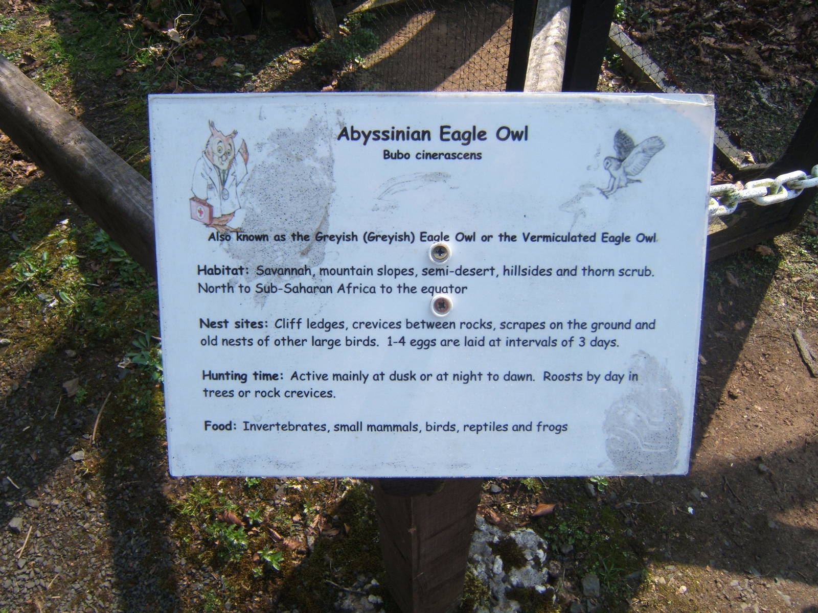 World of Owls,Randalstown NI