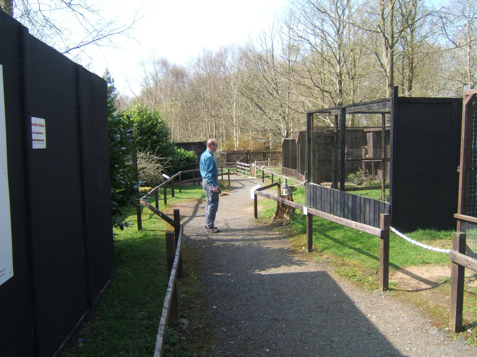 World of Owls,Randalstown NI