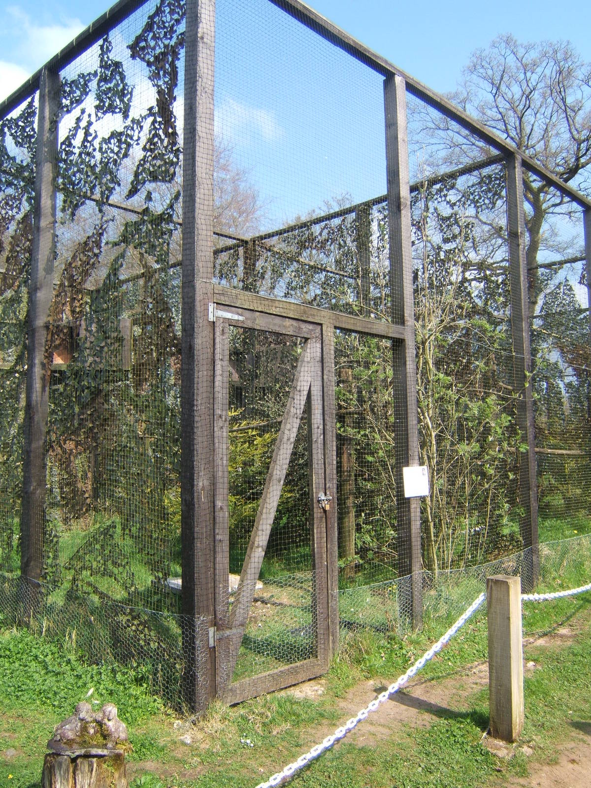 World of Owls,Randalstown NI