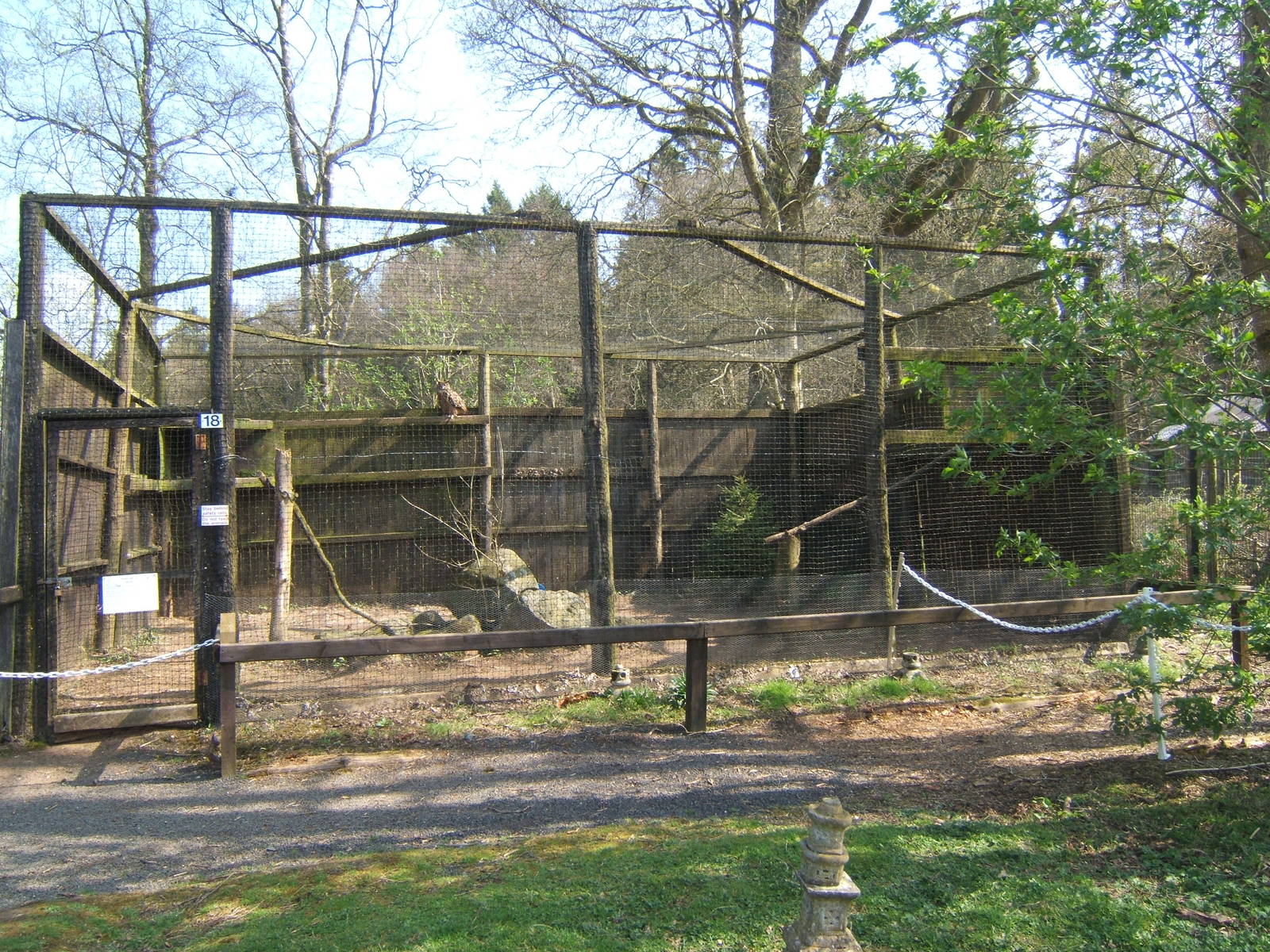 World of Owls,Randalstown NI